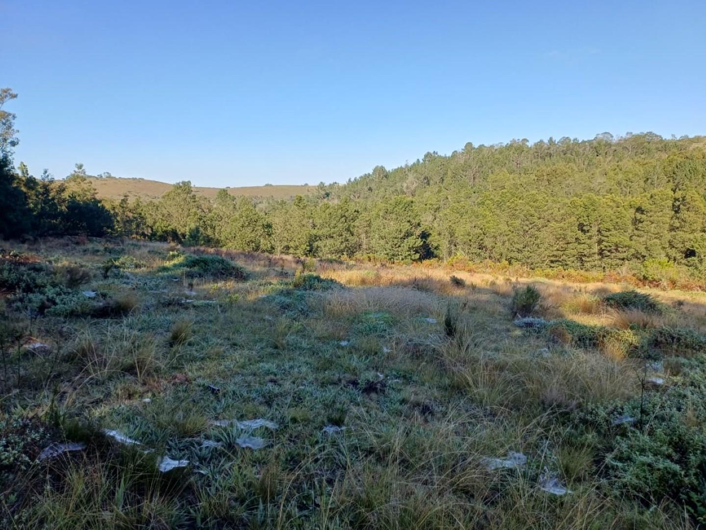 Image 5 of 6