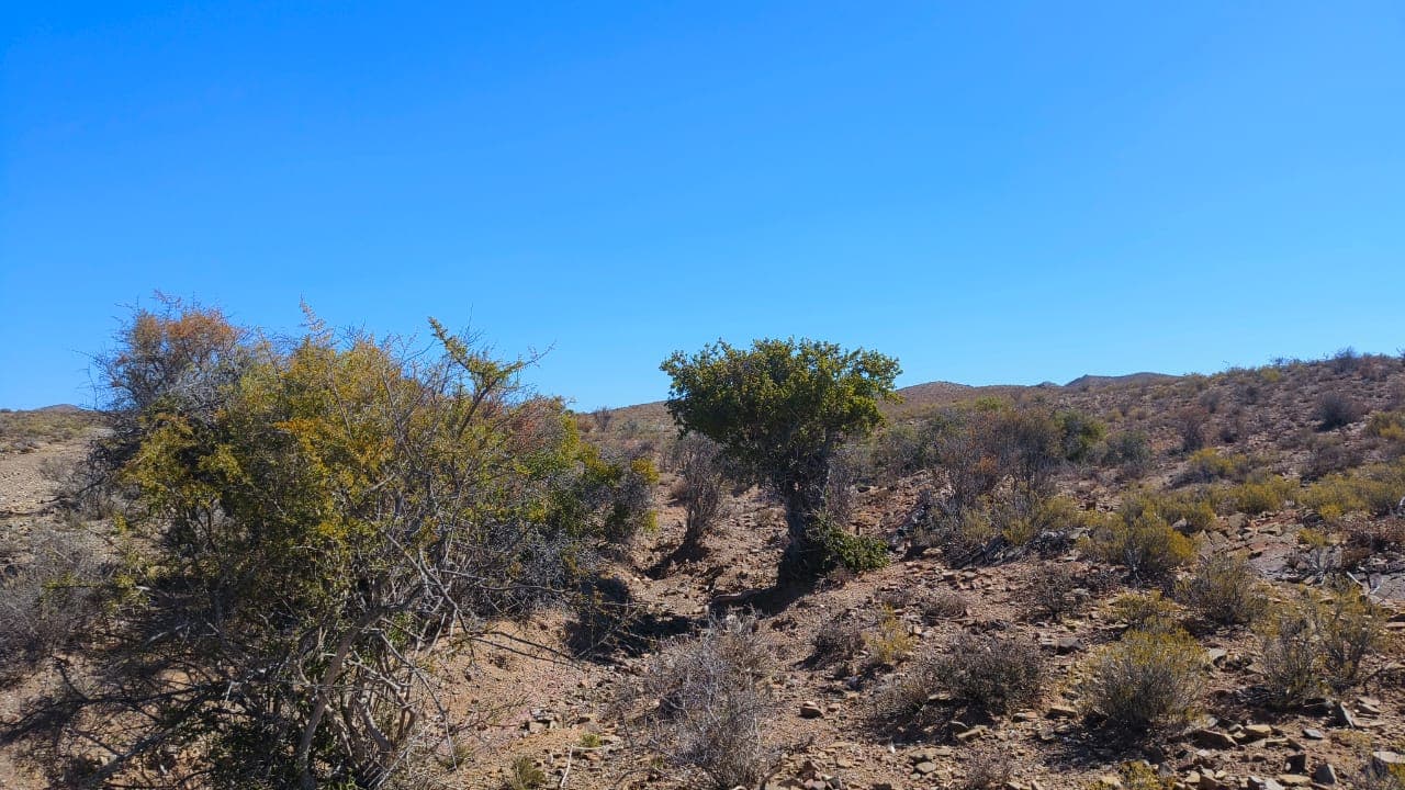 Image 4 of 6