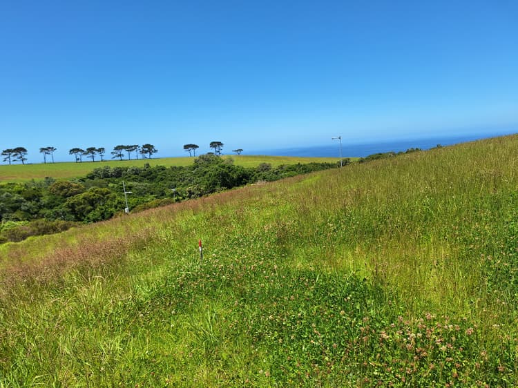 Main property image