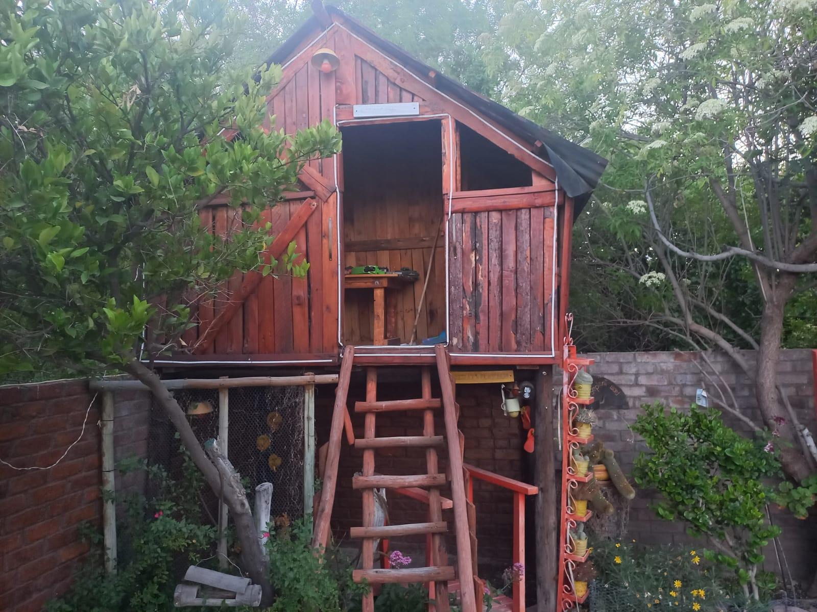 Image 5 of 6