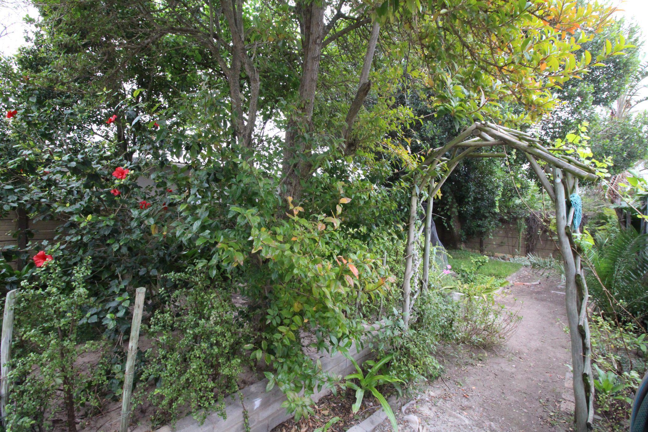 Image 15