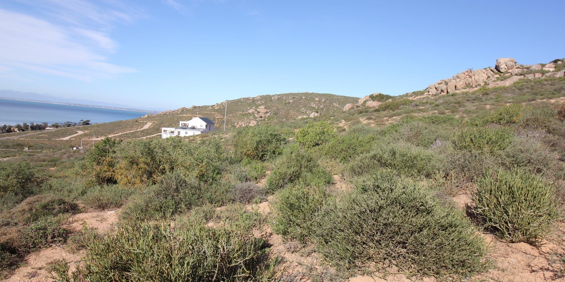 Image 3 of 6