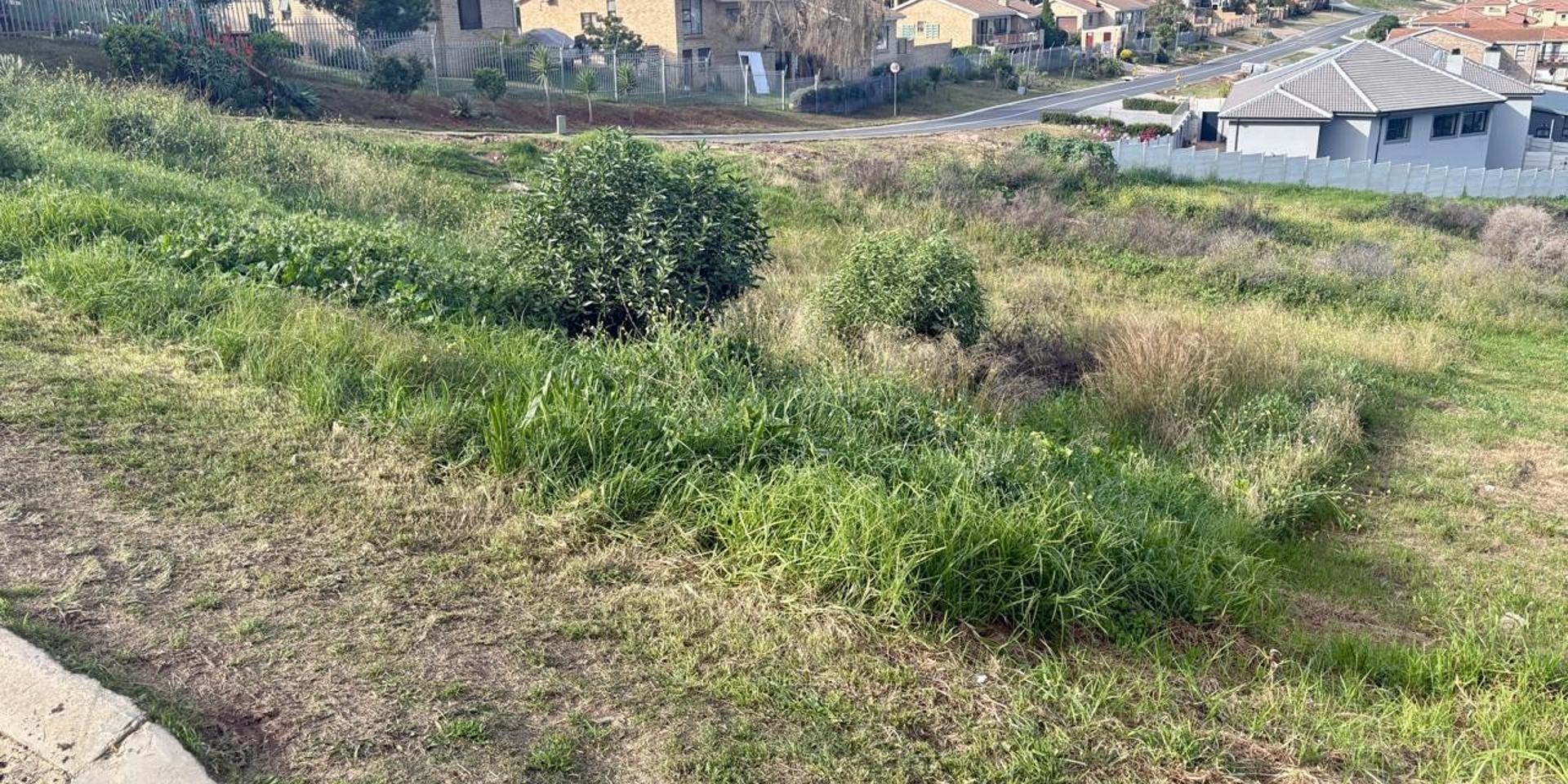 Image 2 of 6