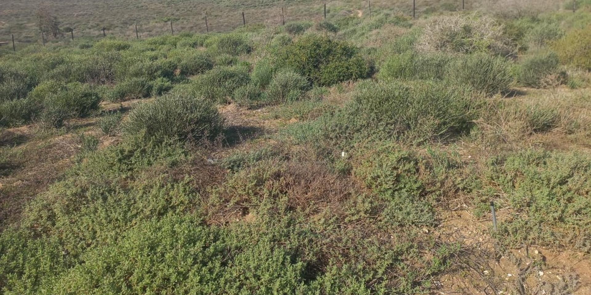 Image 3 of 6