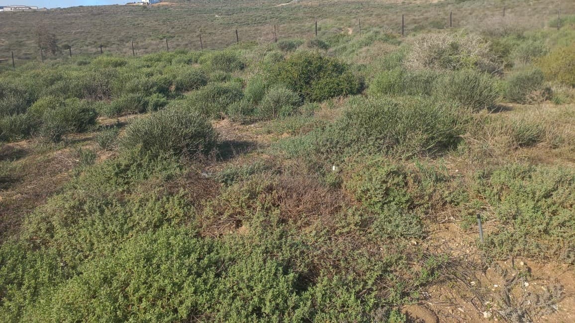Image 3 of 6