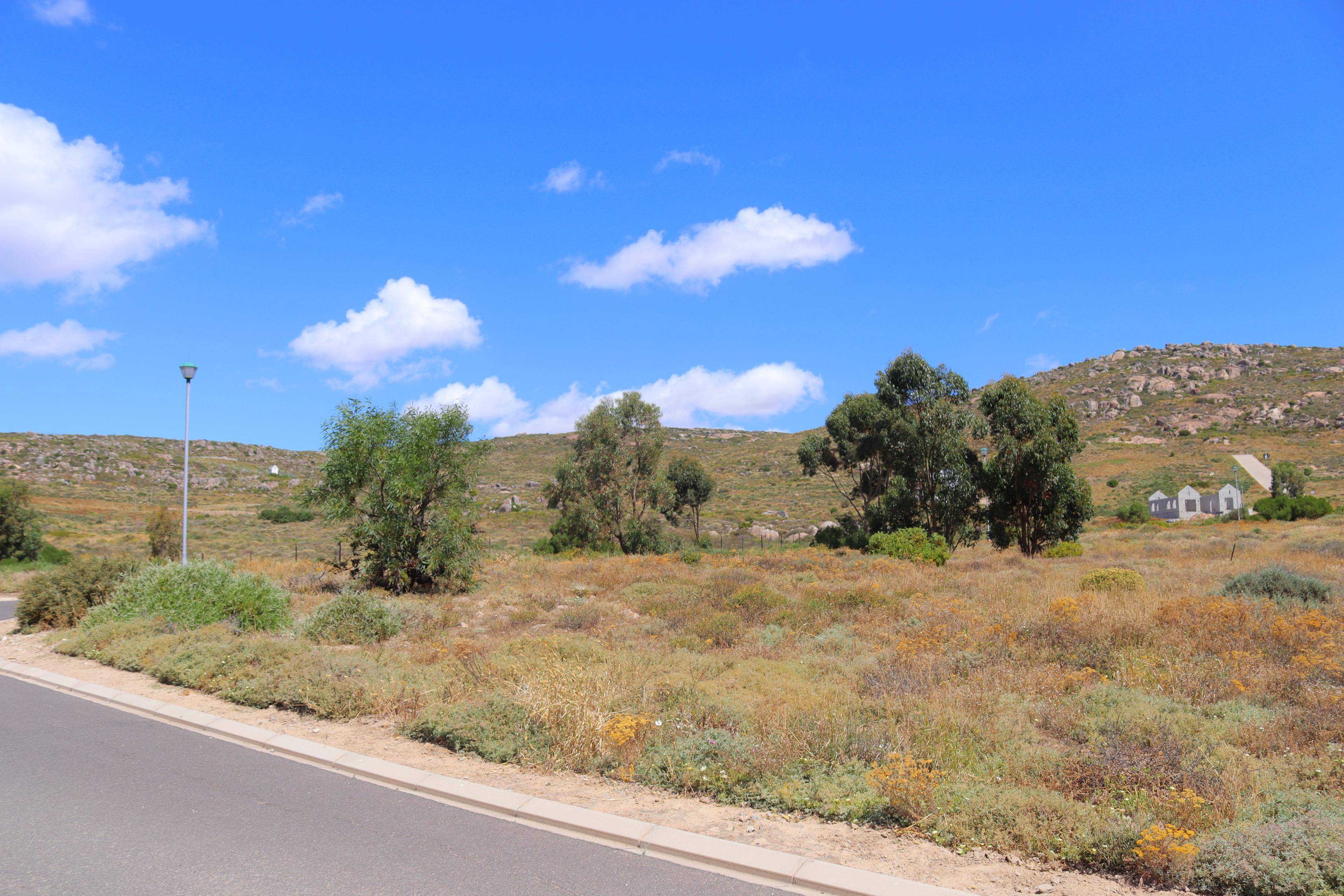 Image 4 of 6