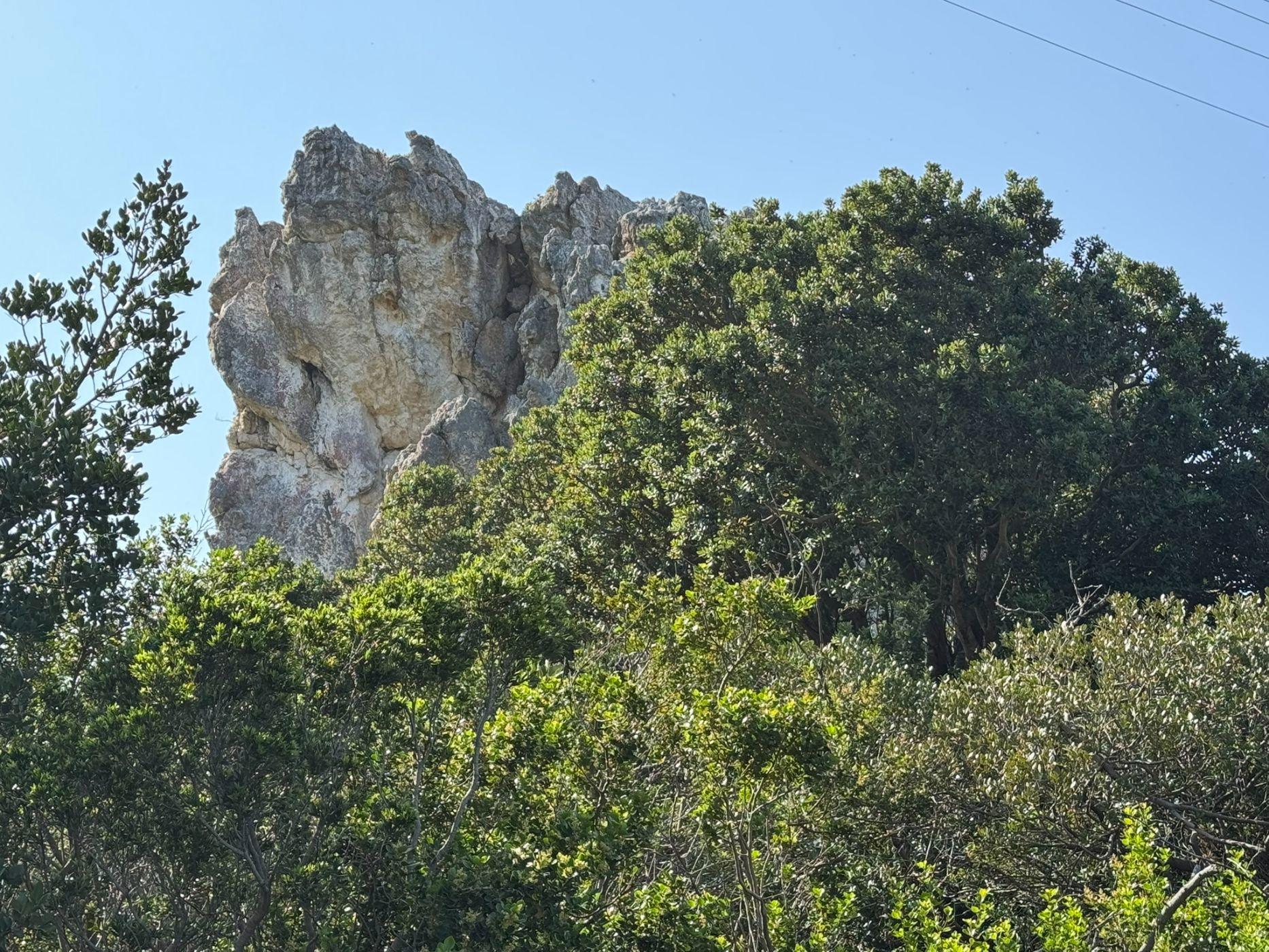 Image 52