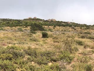 Image 13