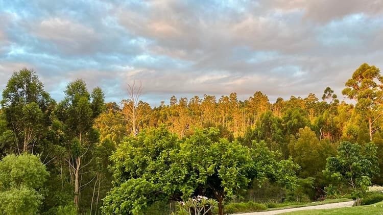Main property image