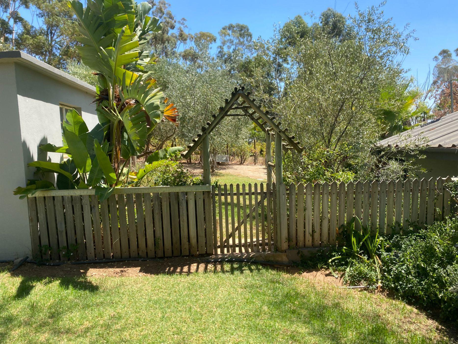 Image 29