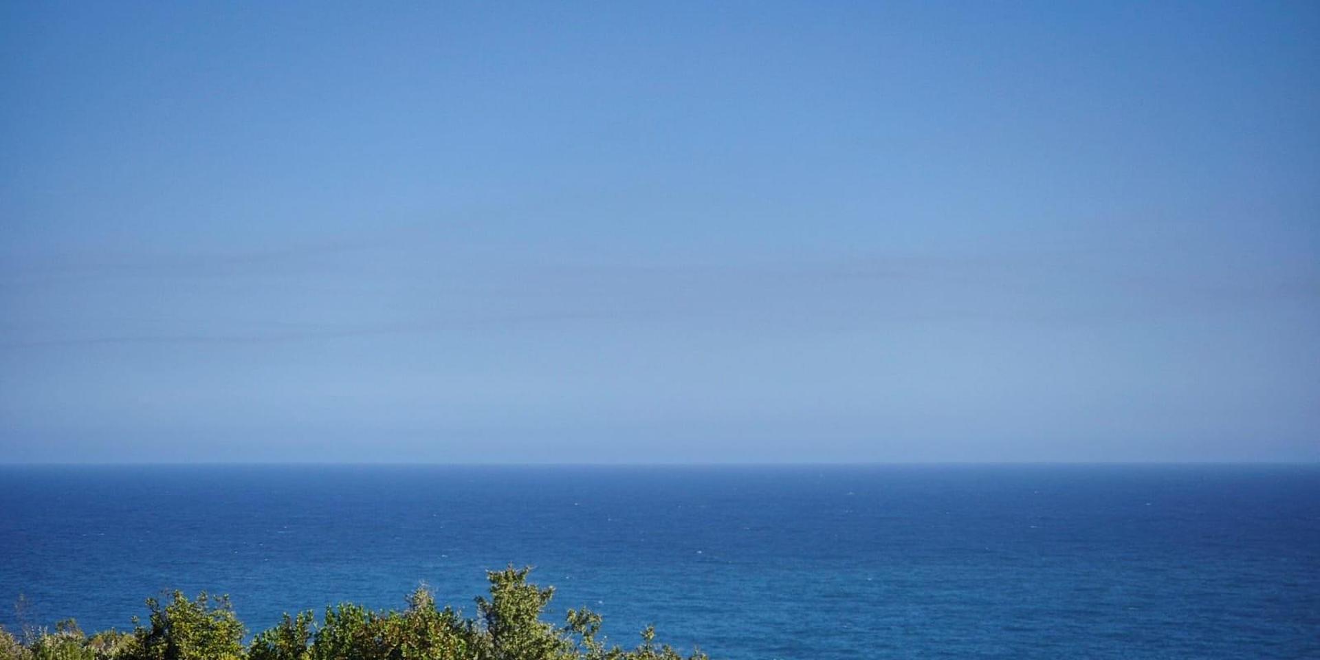 Image 5 of 6
