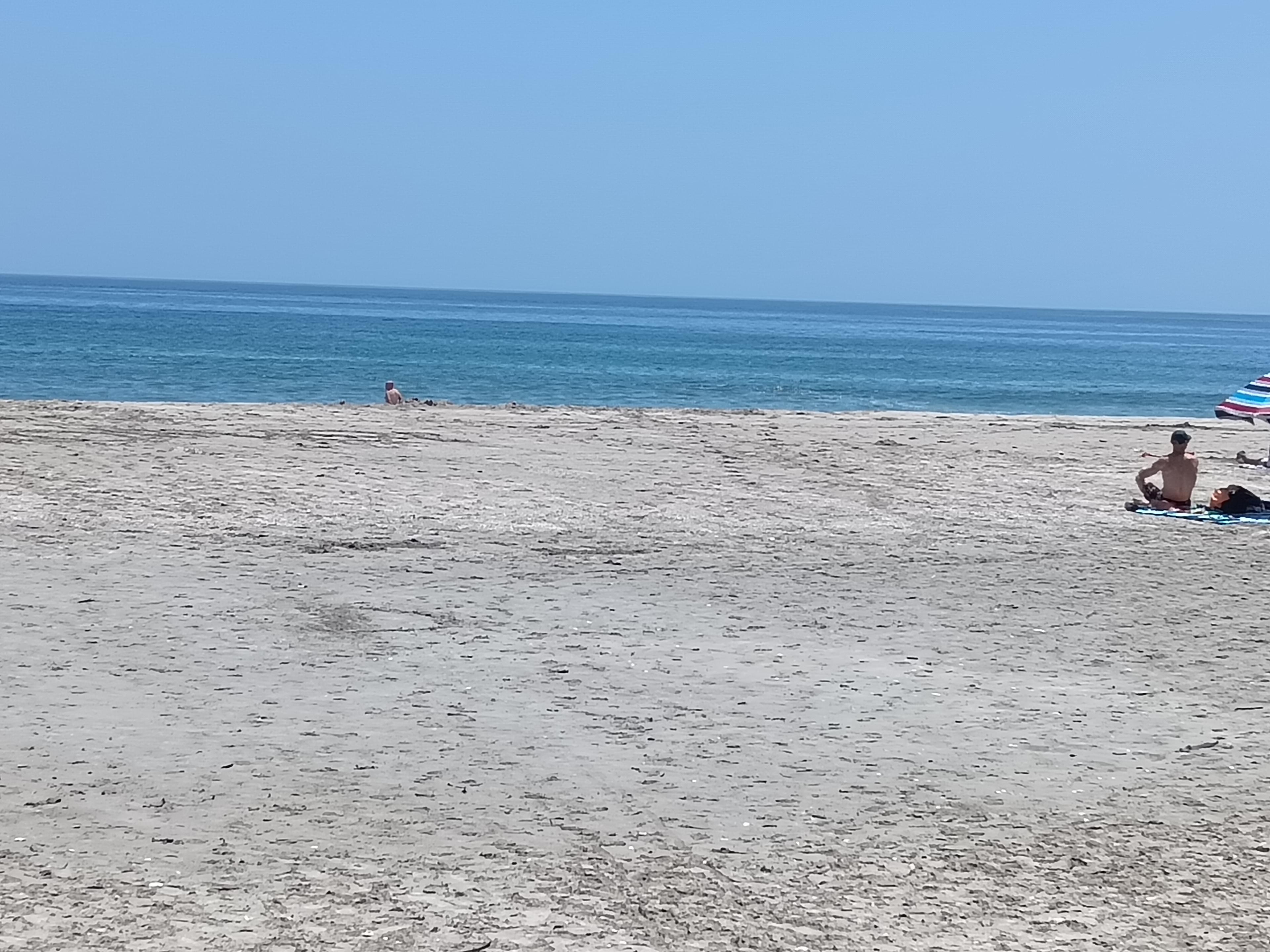 Image 15
