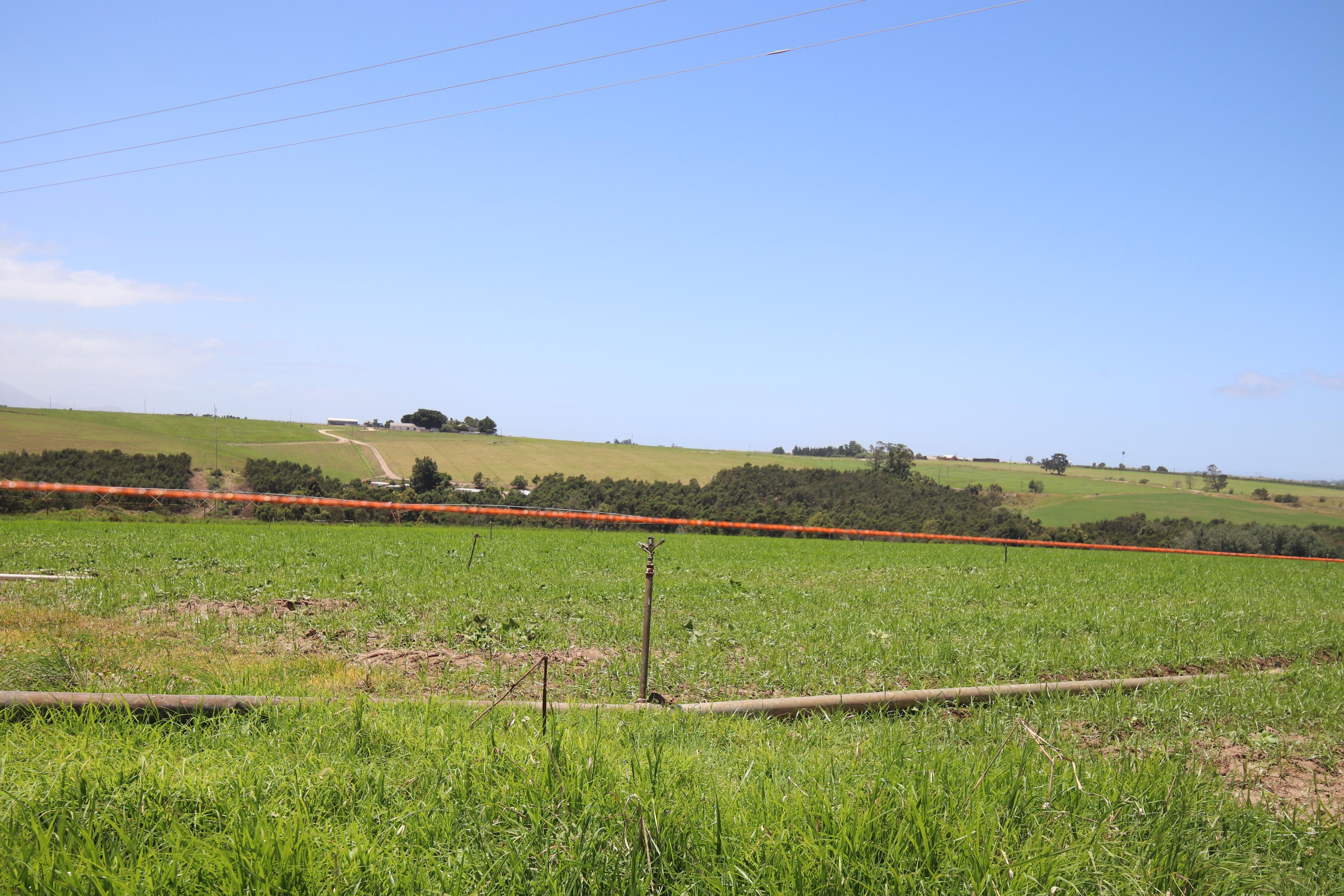 Image 14