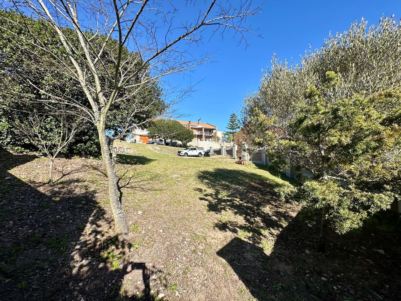 Image 5 of 6