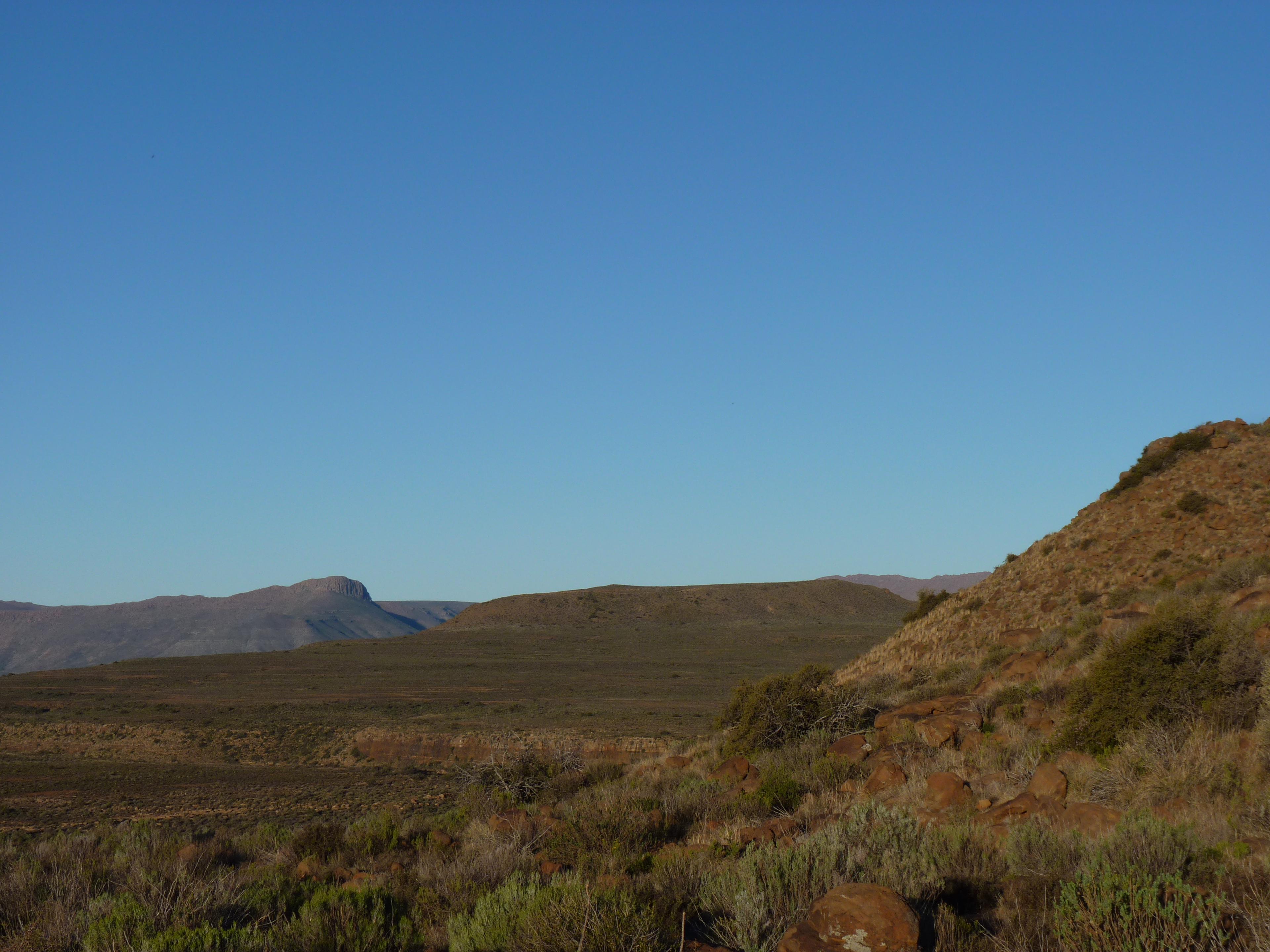 Image 62