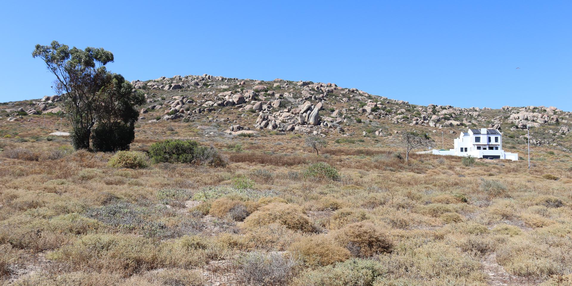 Image 5 of 6