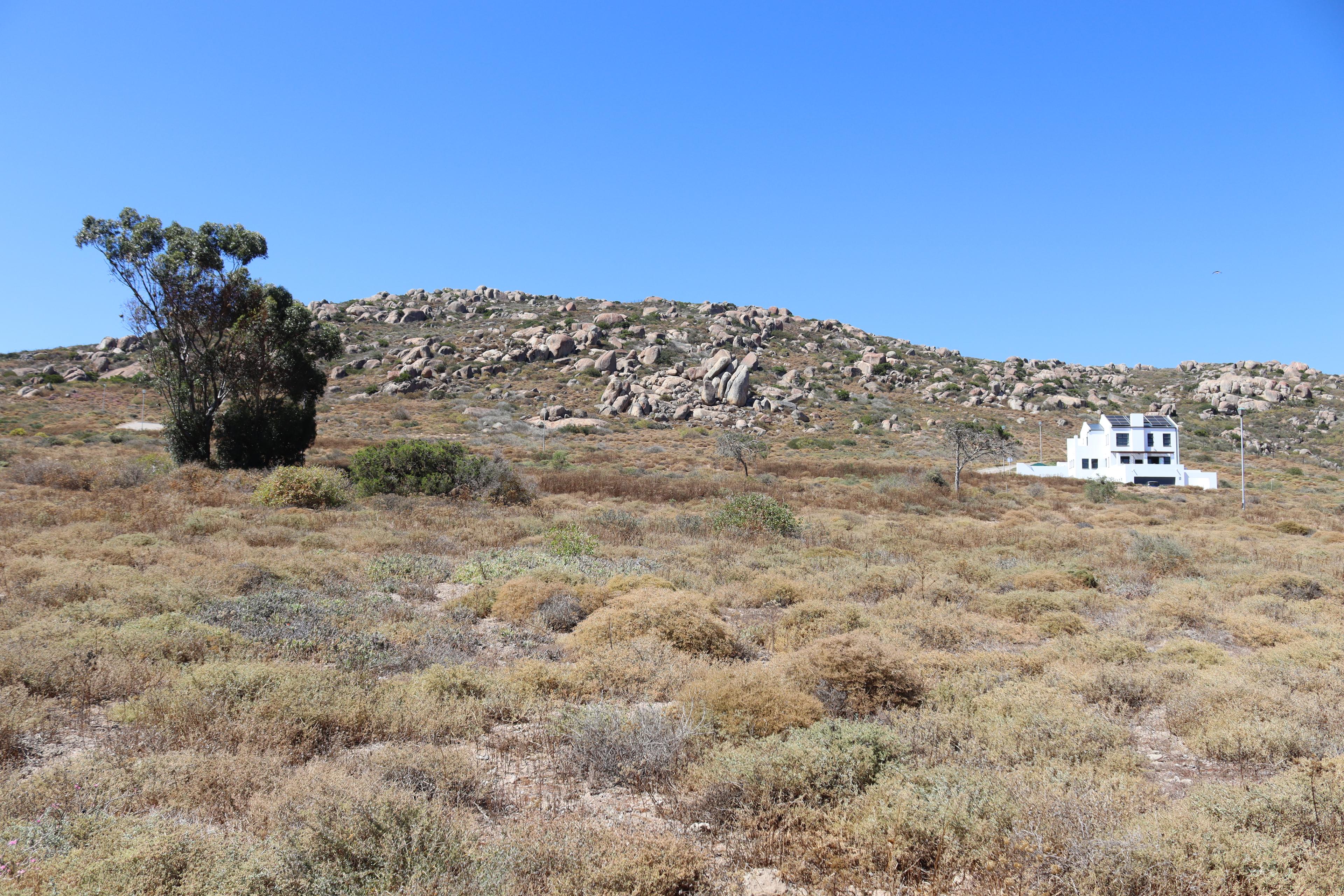 Image 5 of 6