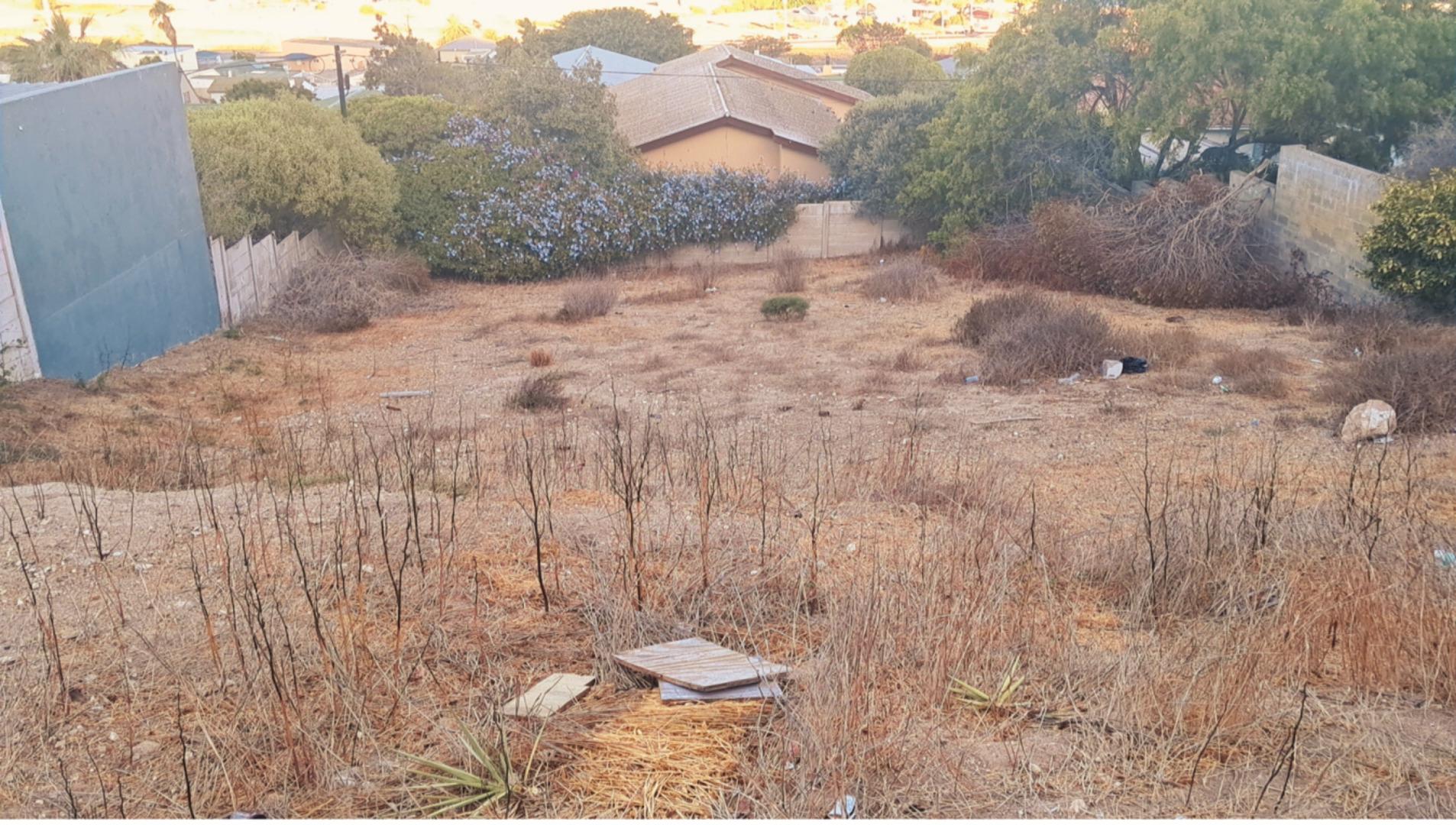 Image 4 of 6