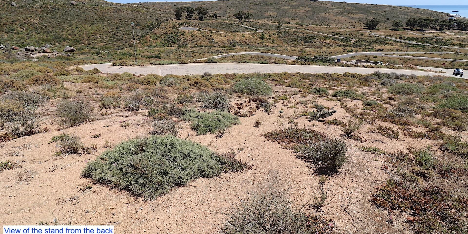 Image 5 of 6