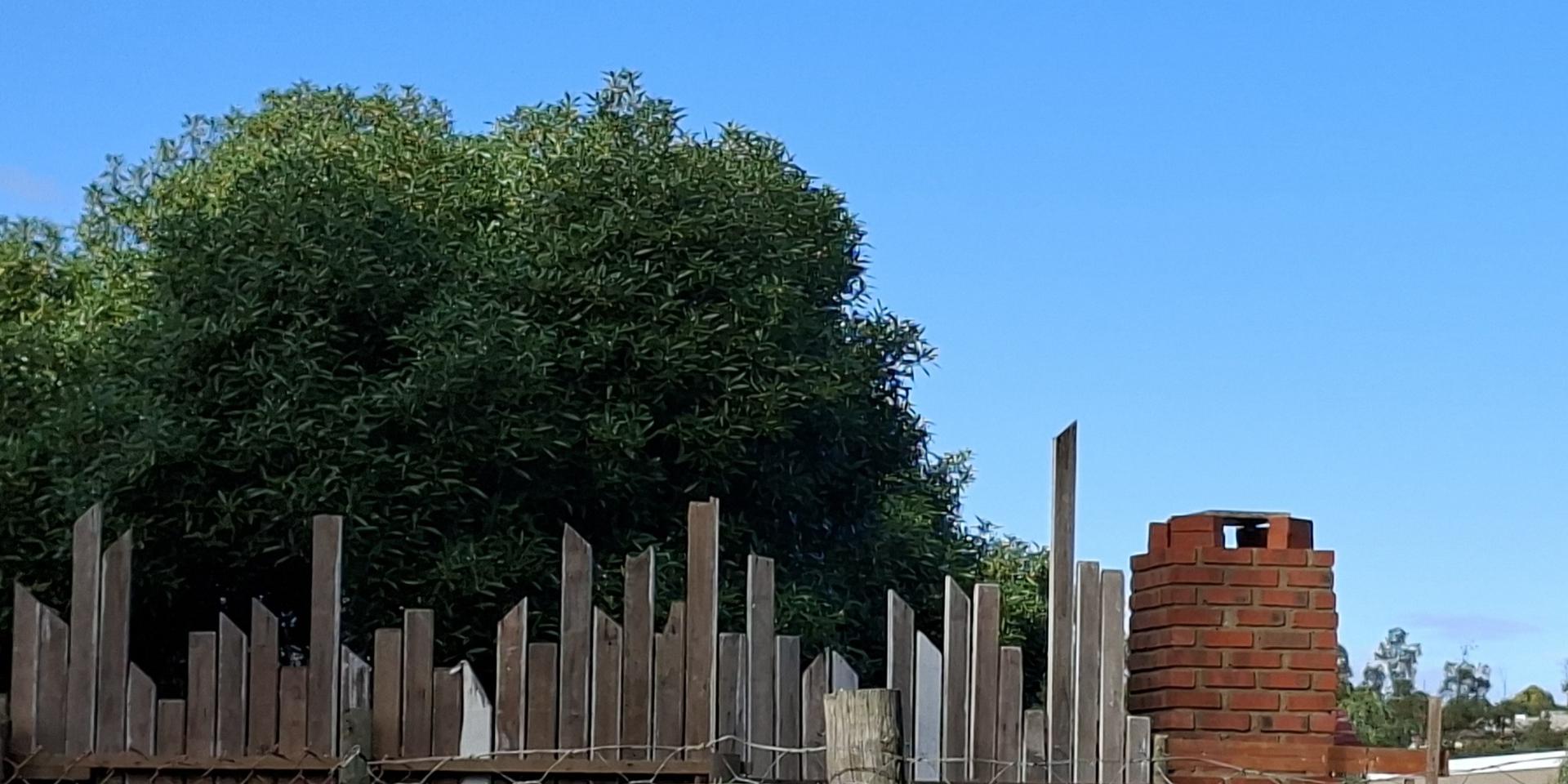Image 2 of 6