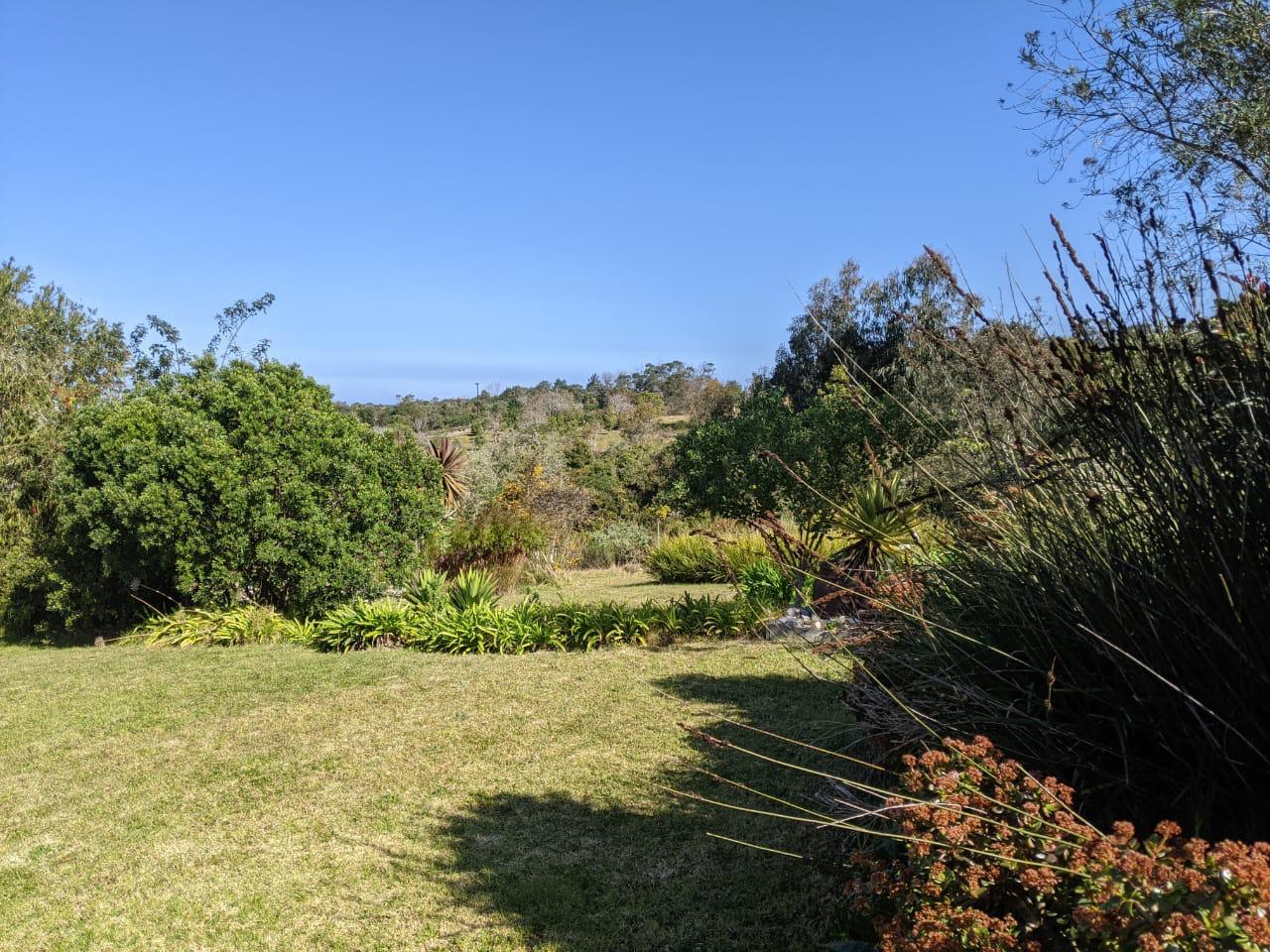 Image 31