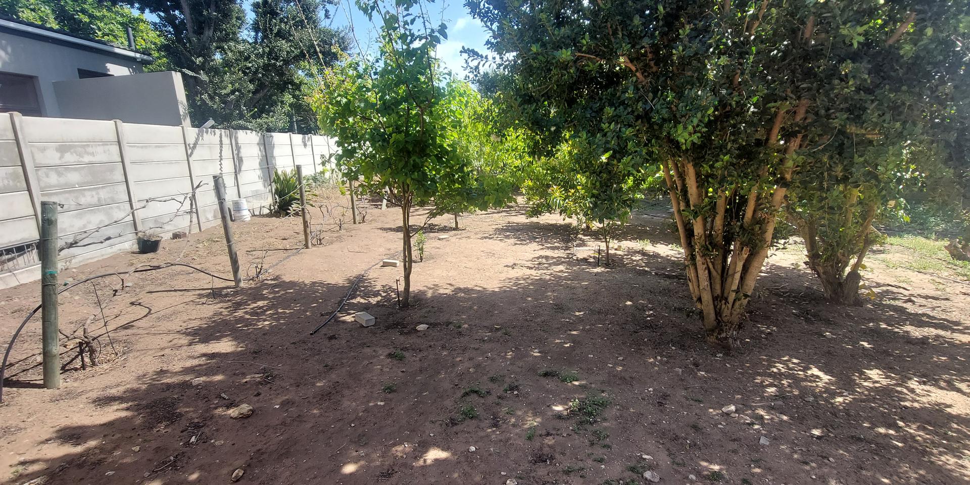 Image 4 of 6