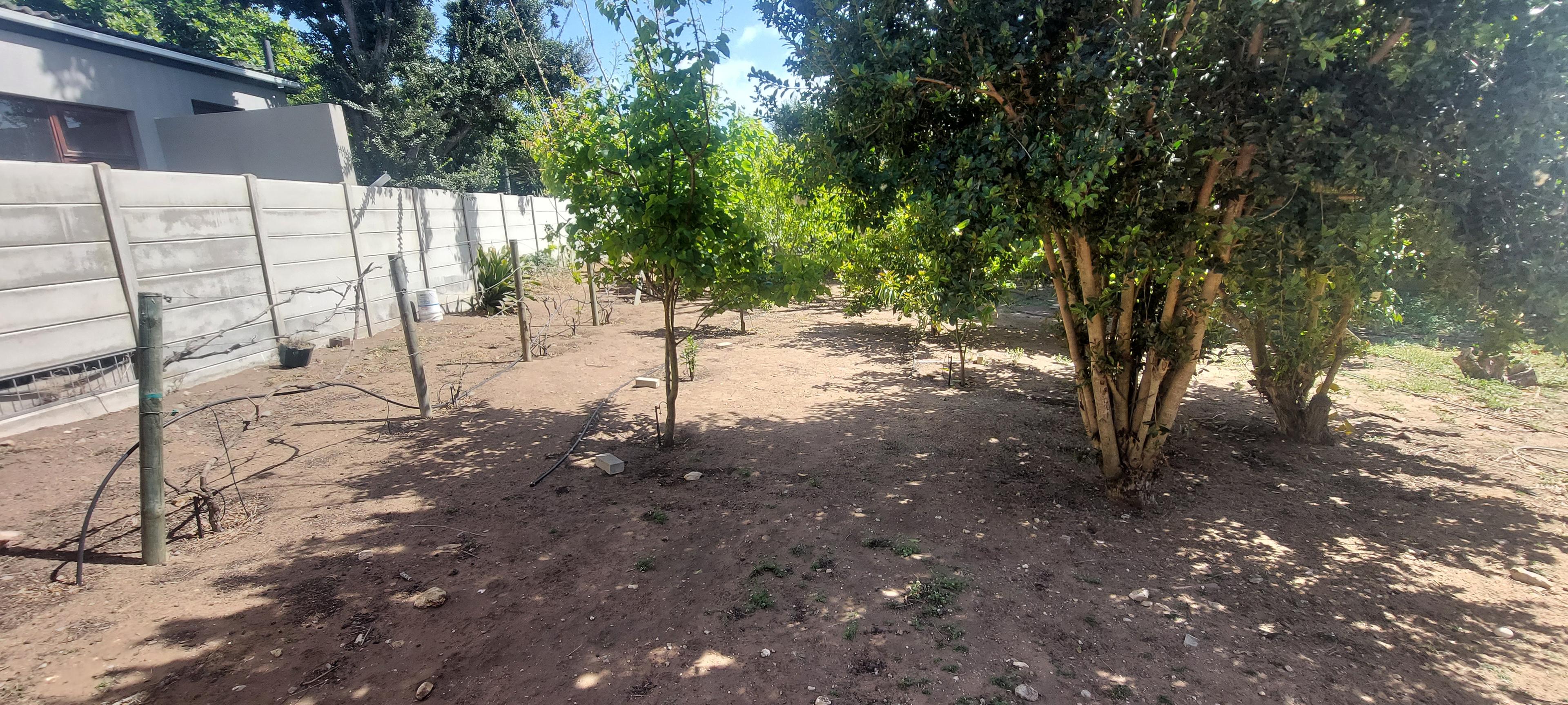 Image 4 of 6