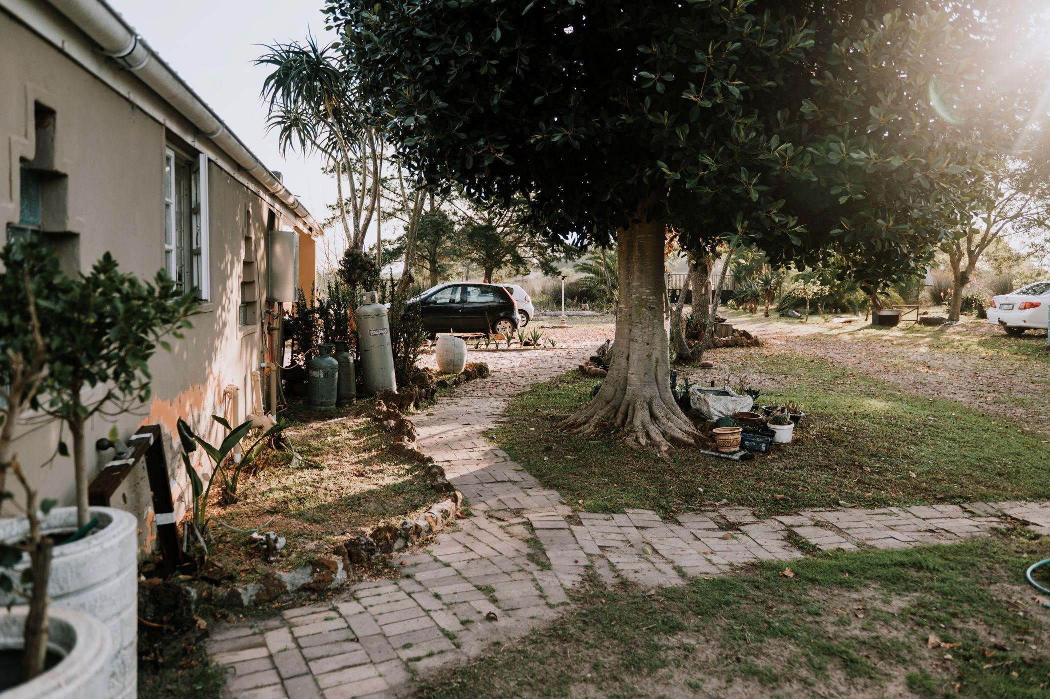 Image 12