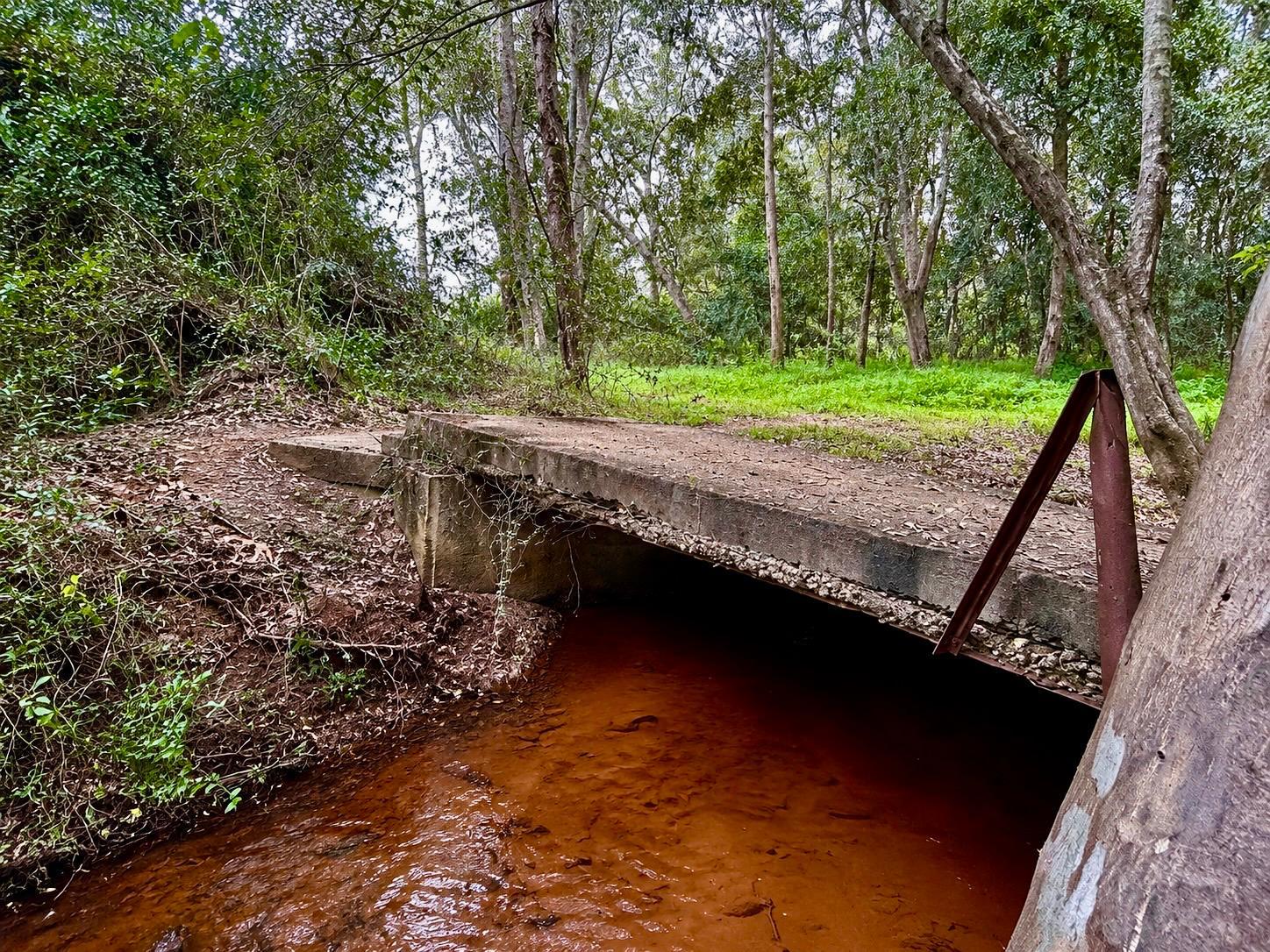 Image 10