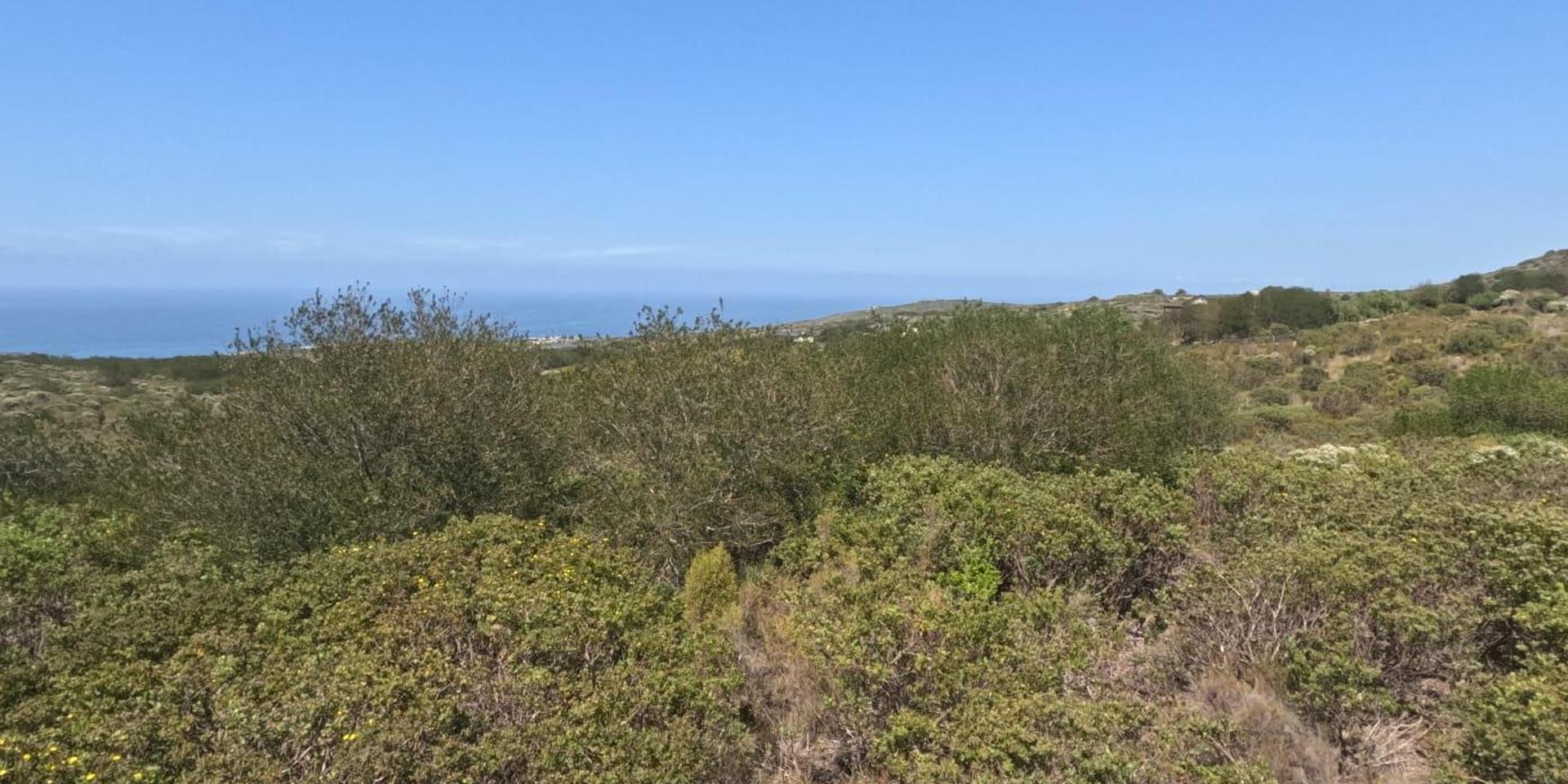 Image 2 of 6