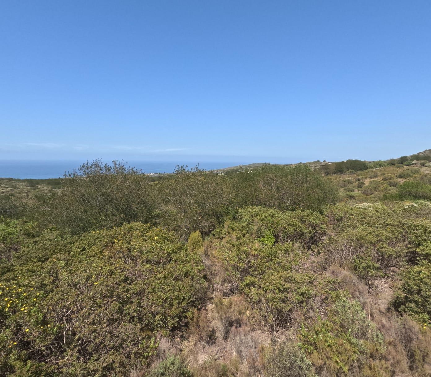 Image 2 of 6