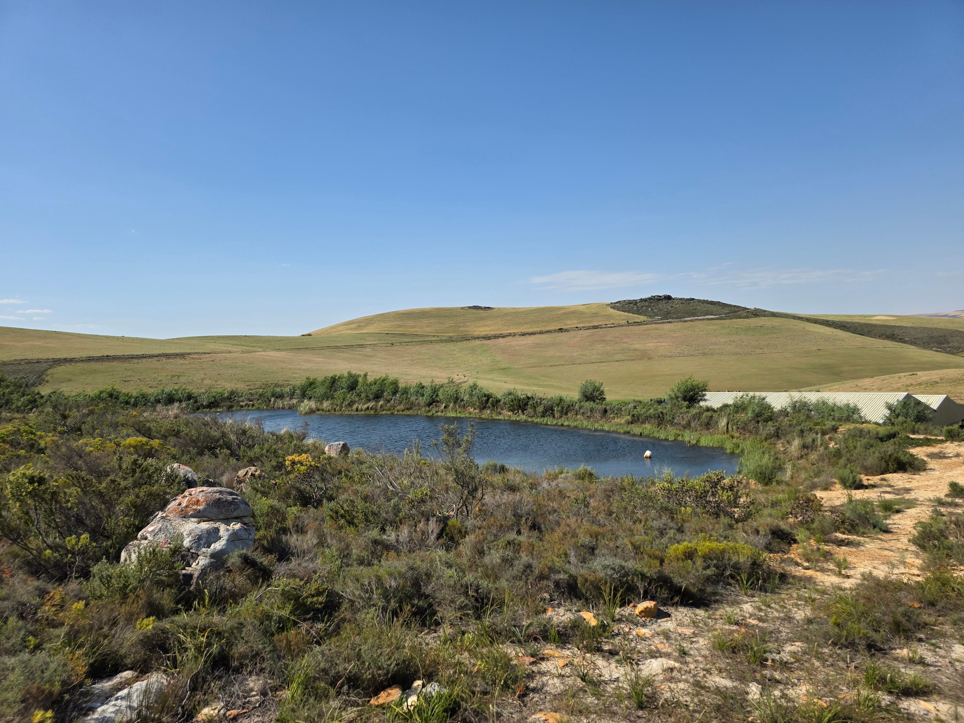 Image 36
