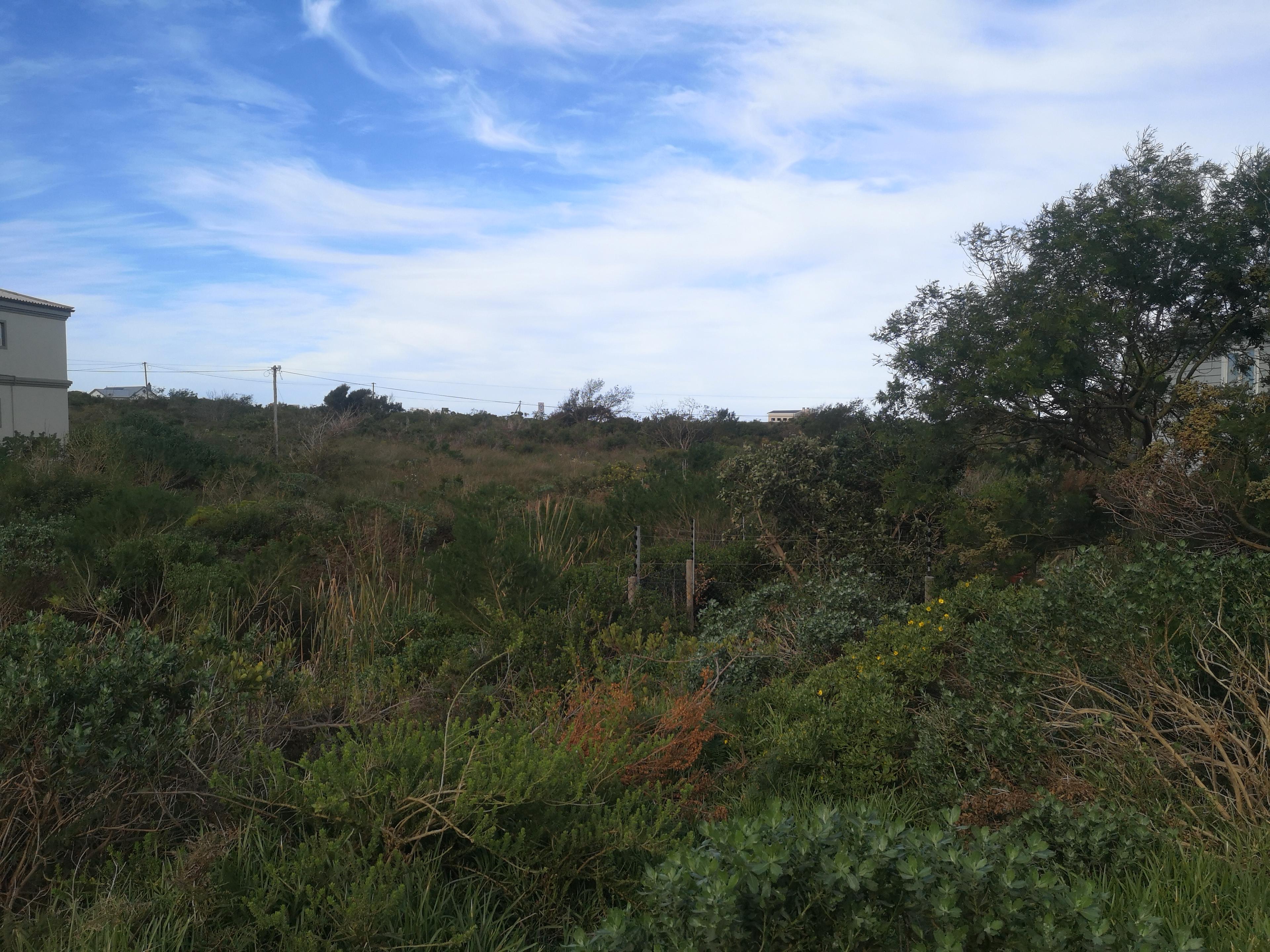 Image 5 of 6