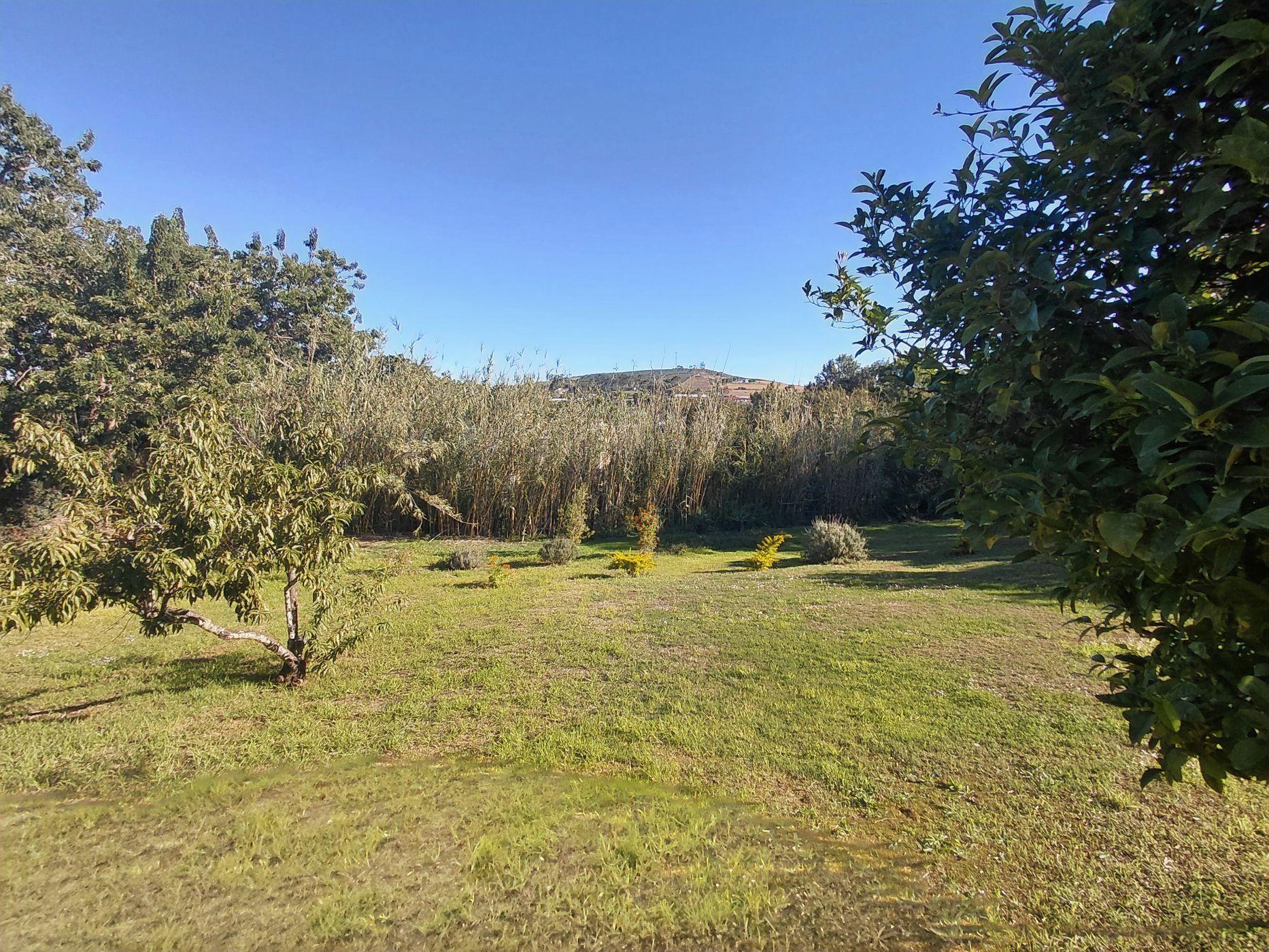 Image 33