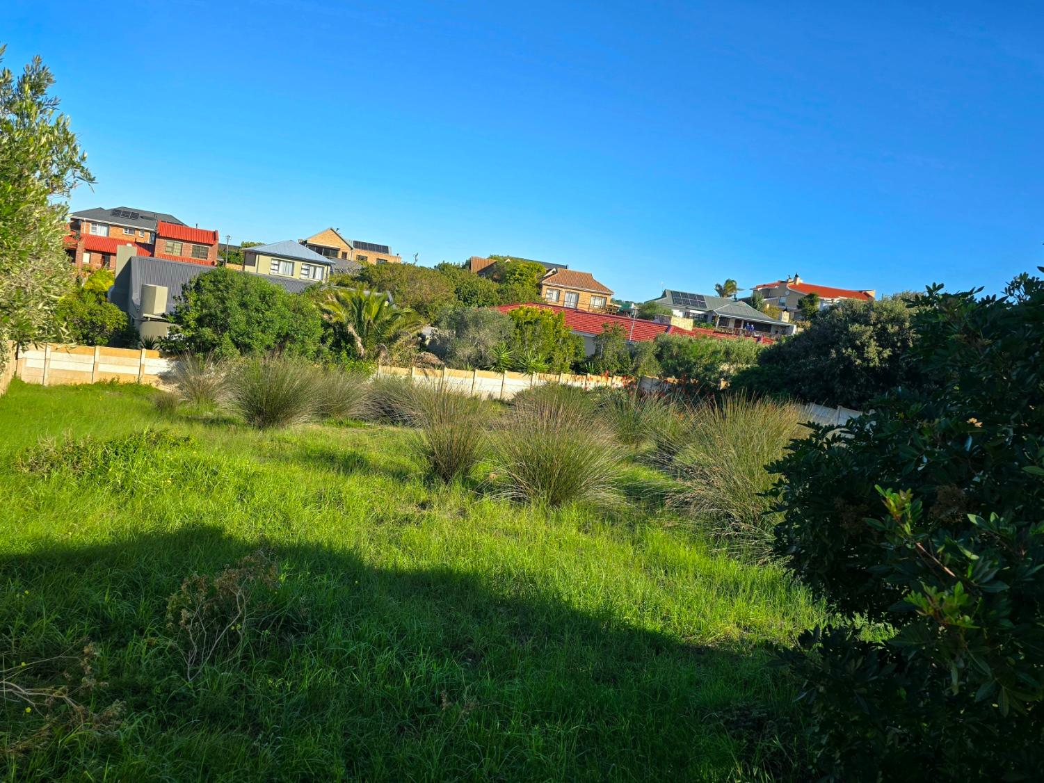 Image 4 of 6