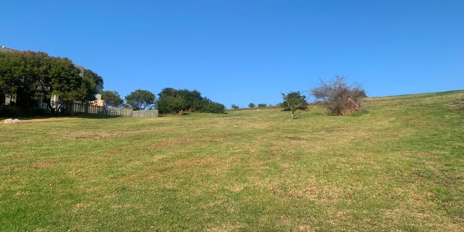 Image 4 of 6