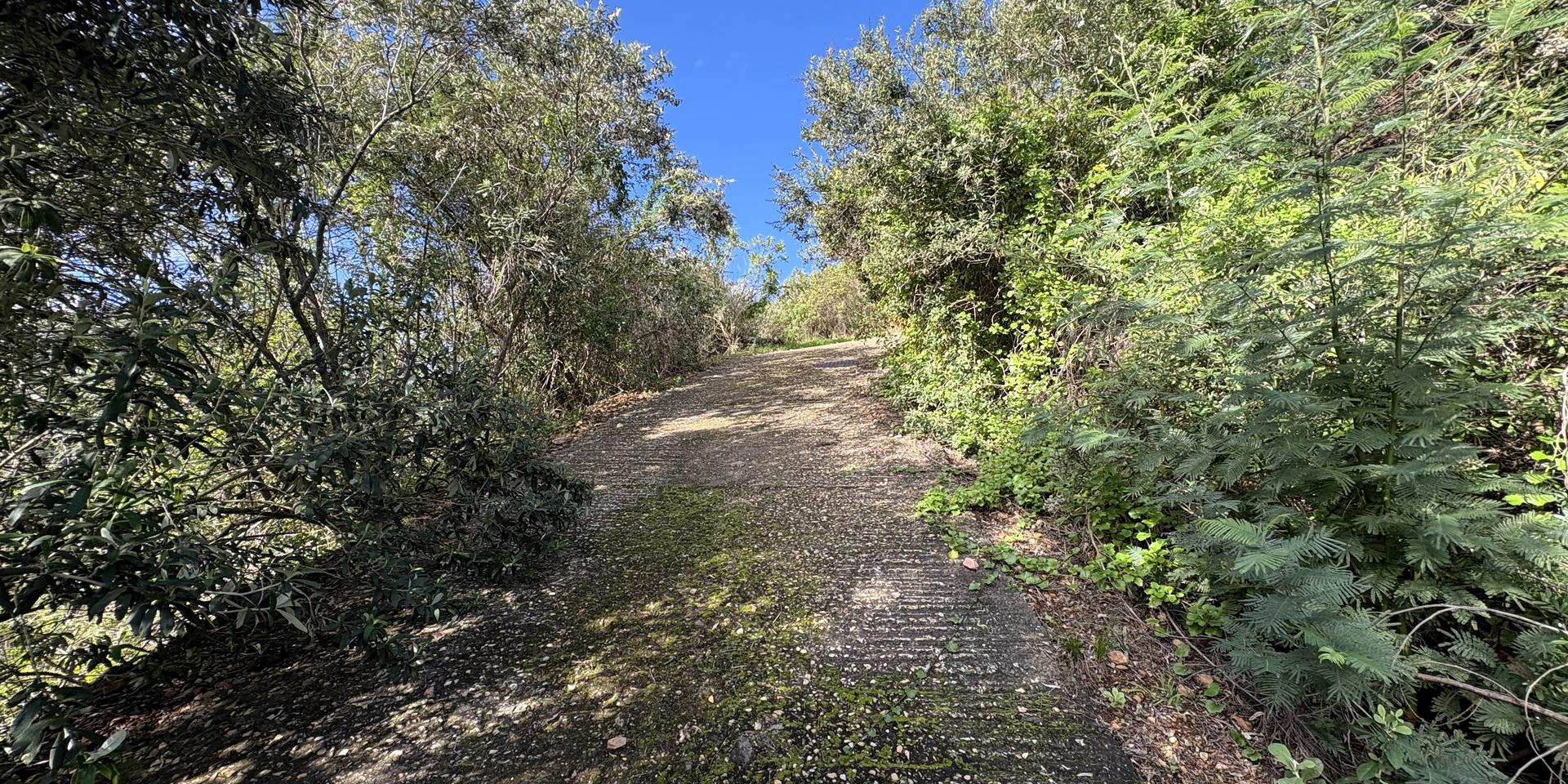 Image 3 of 6