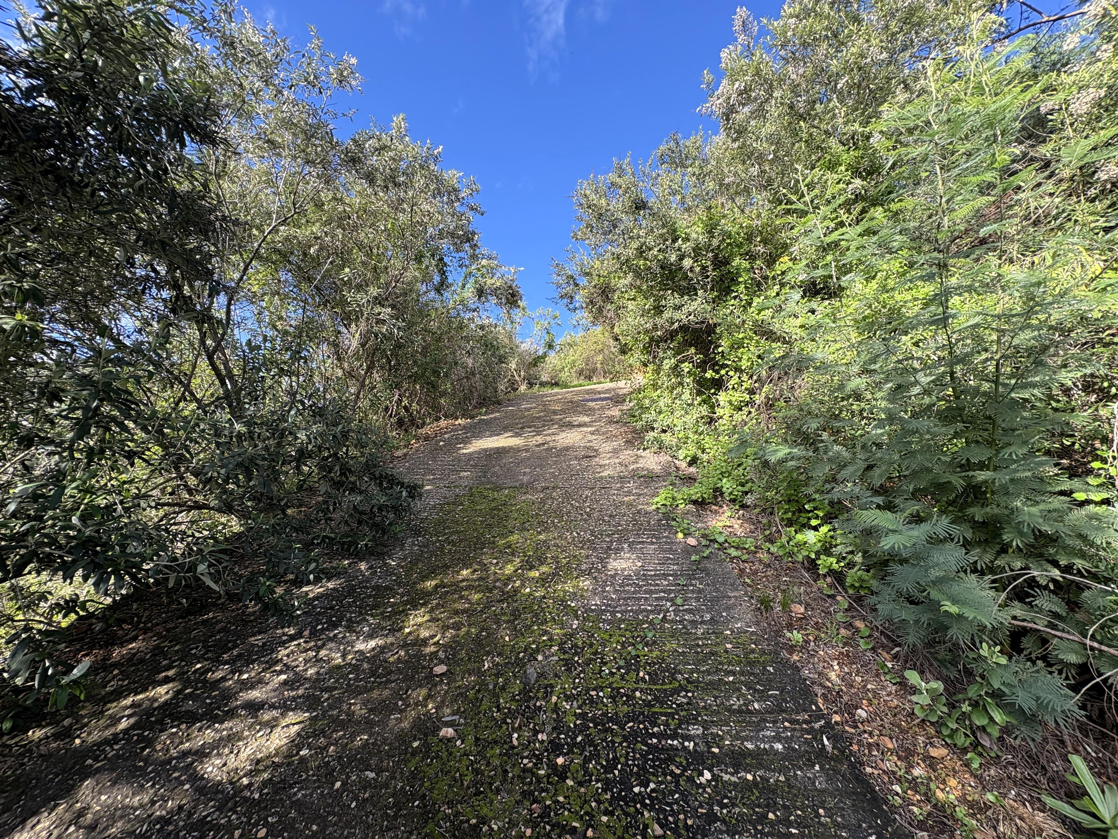 Image 3 of 6