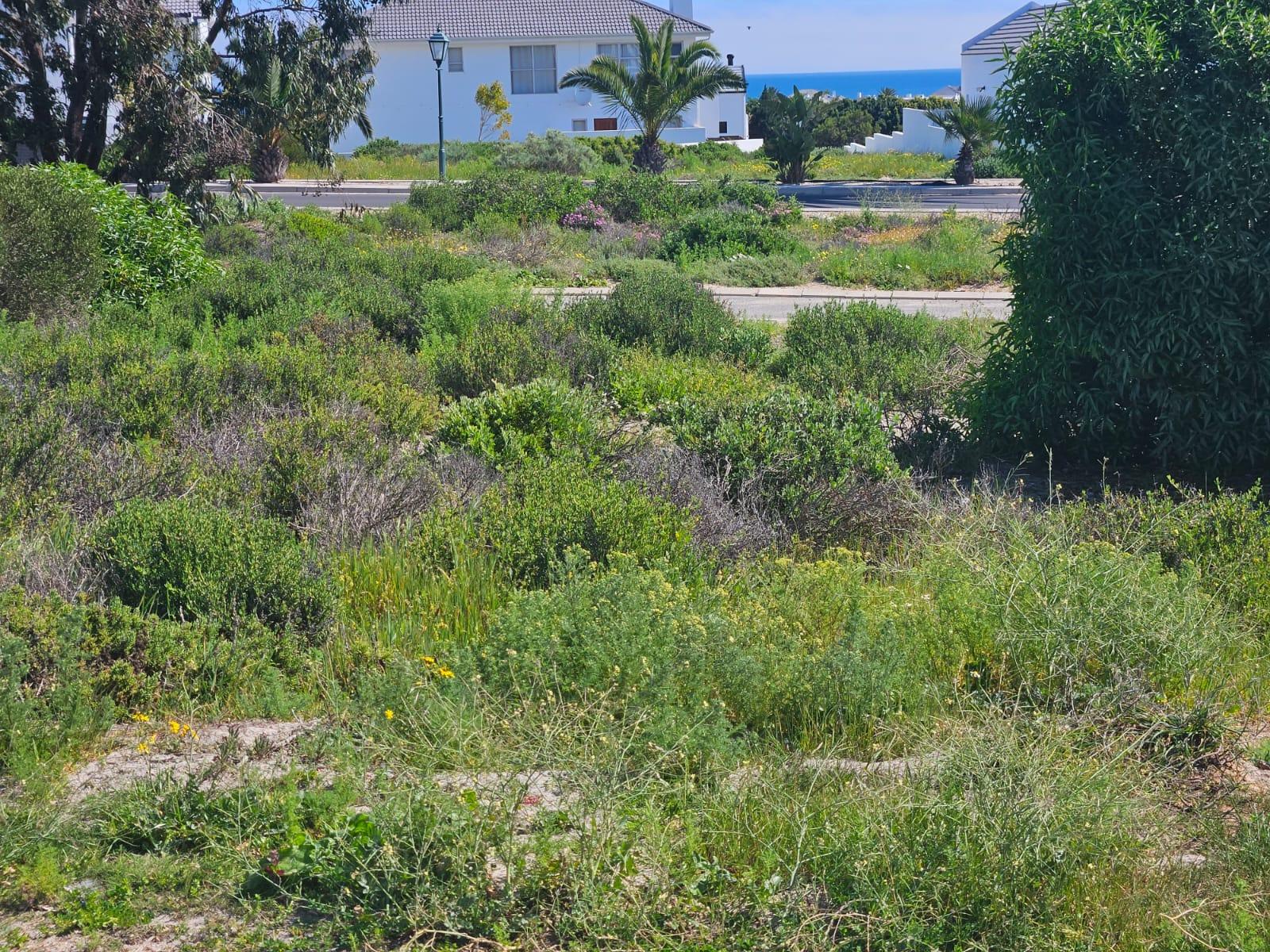 Image 5 of 6
