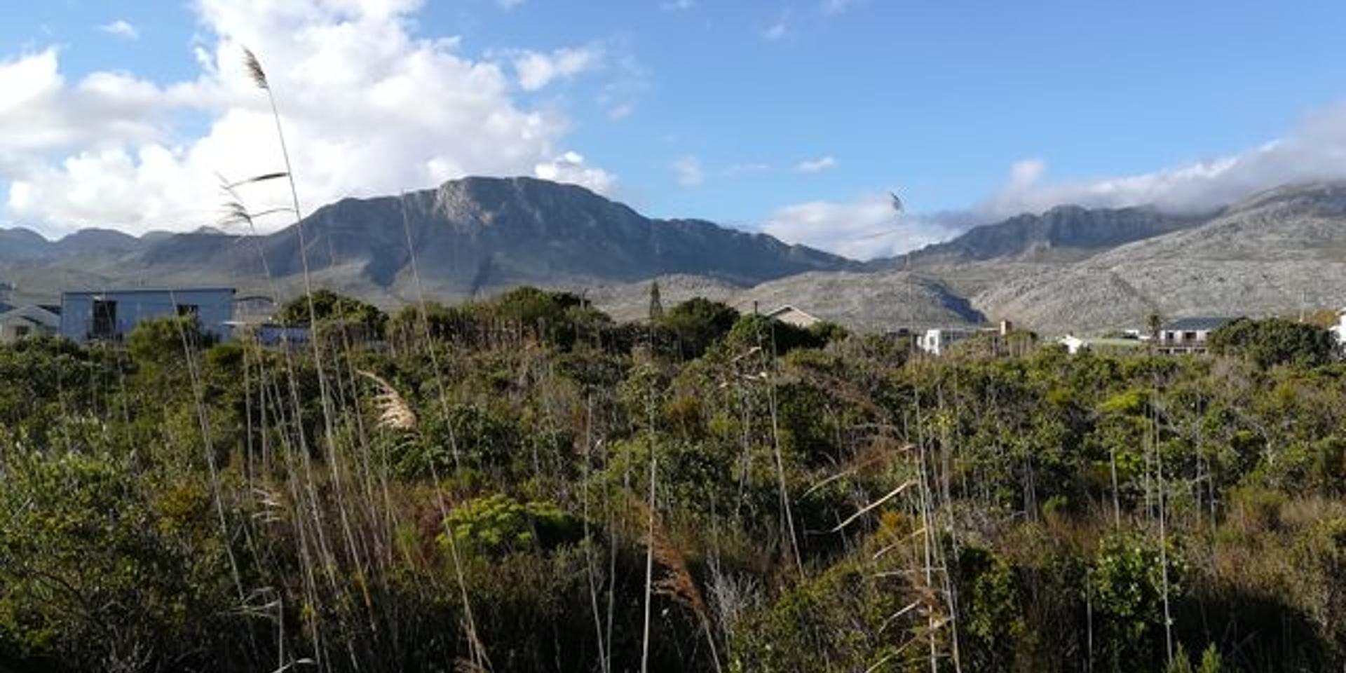 Image 5 of 6