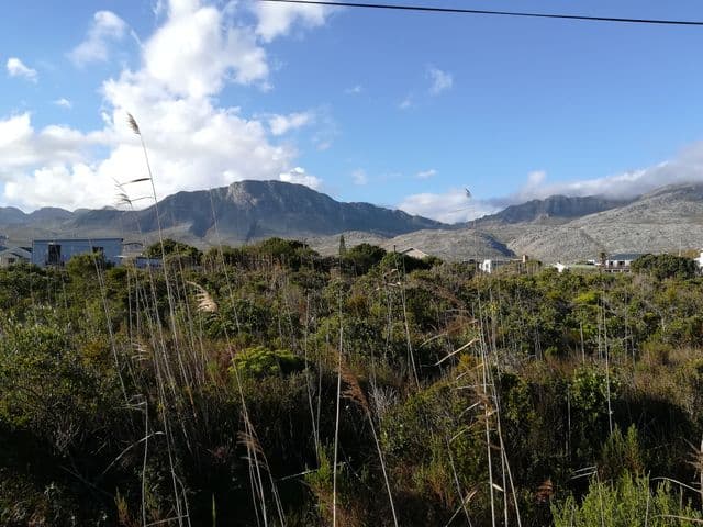 Image 5 of 6