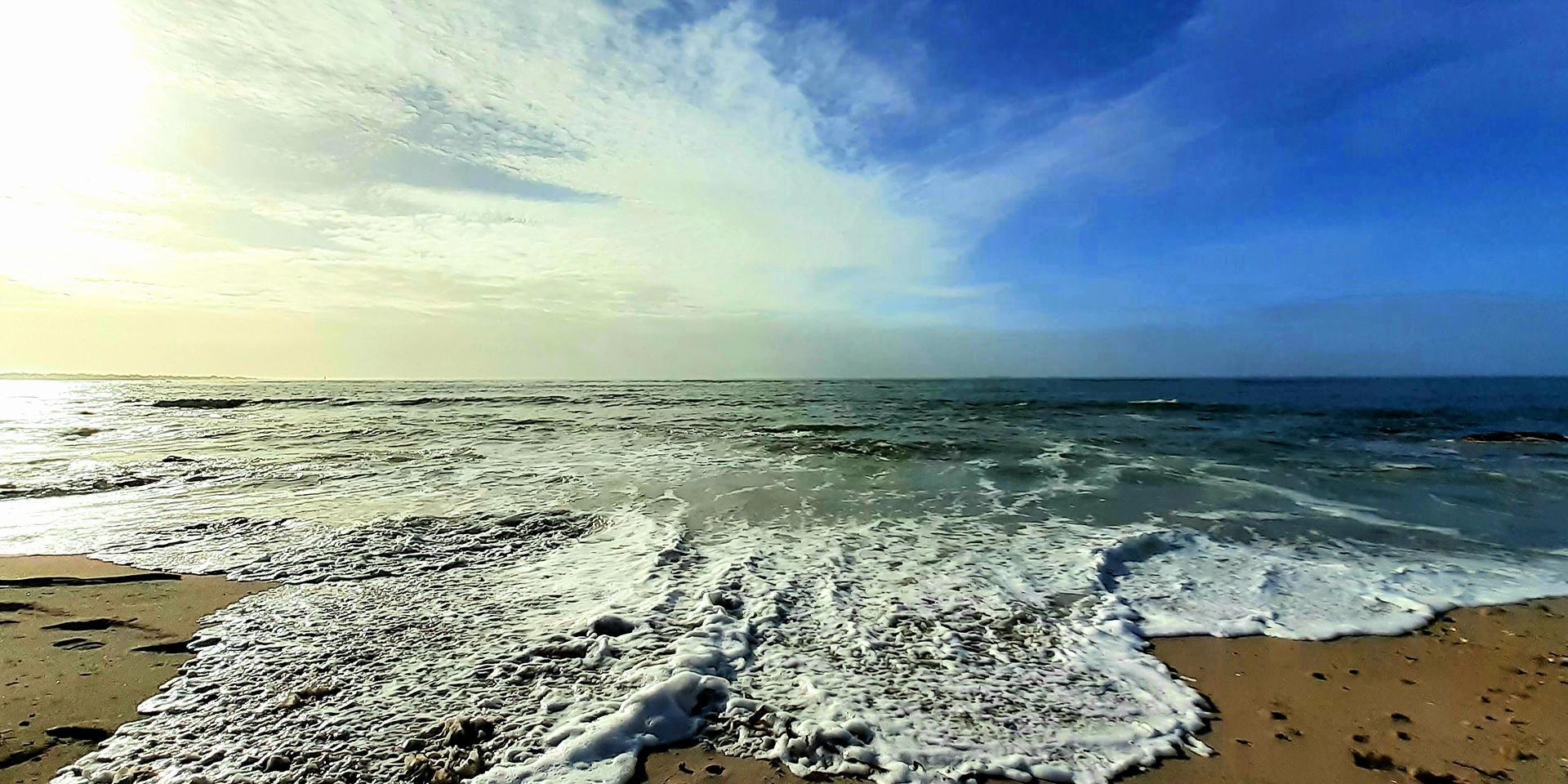 Image 4 of 6