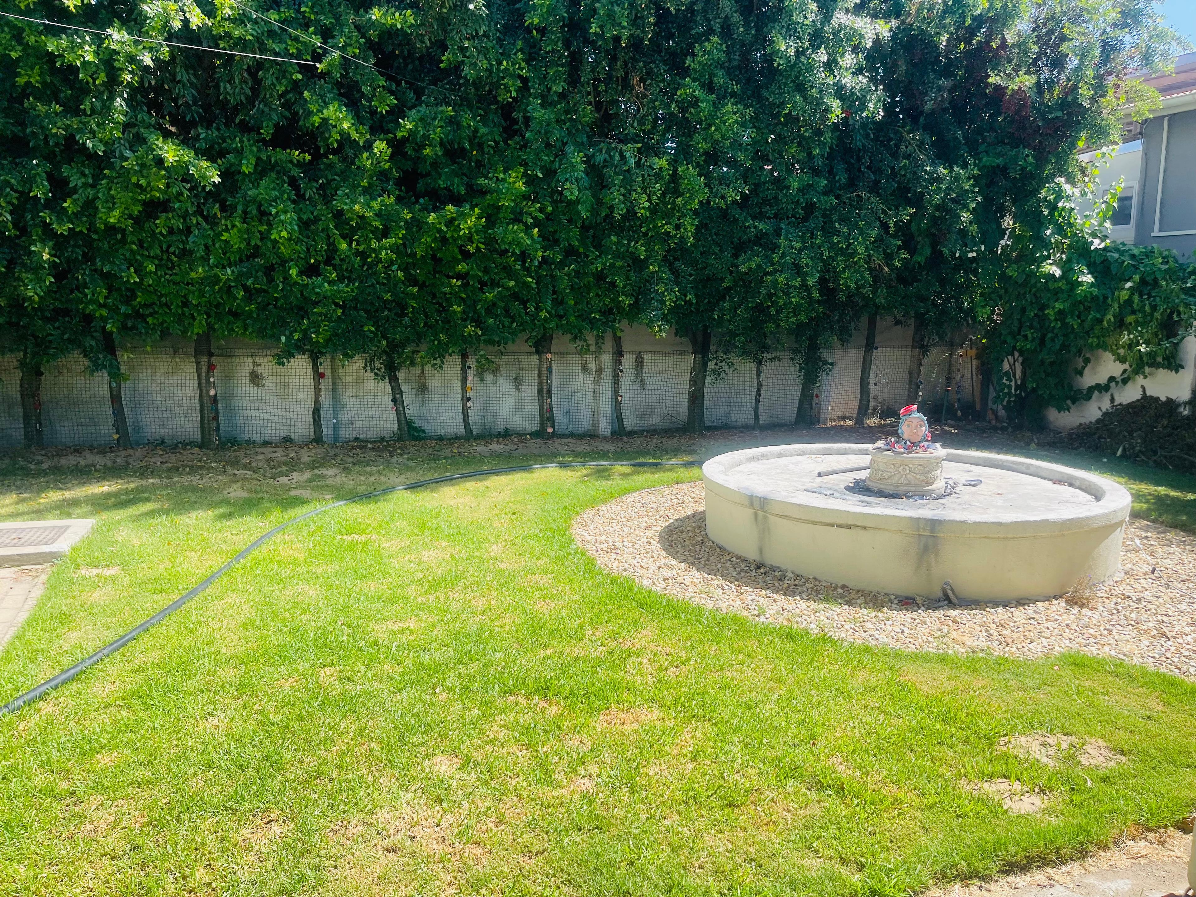 Image 5 of 6