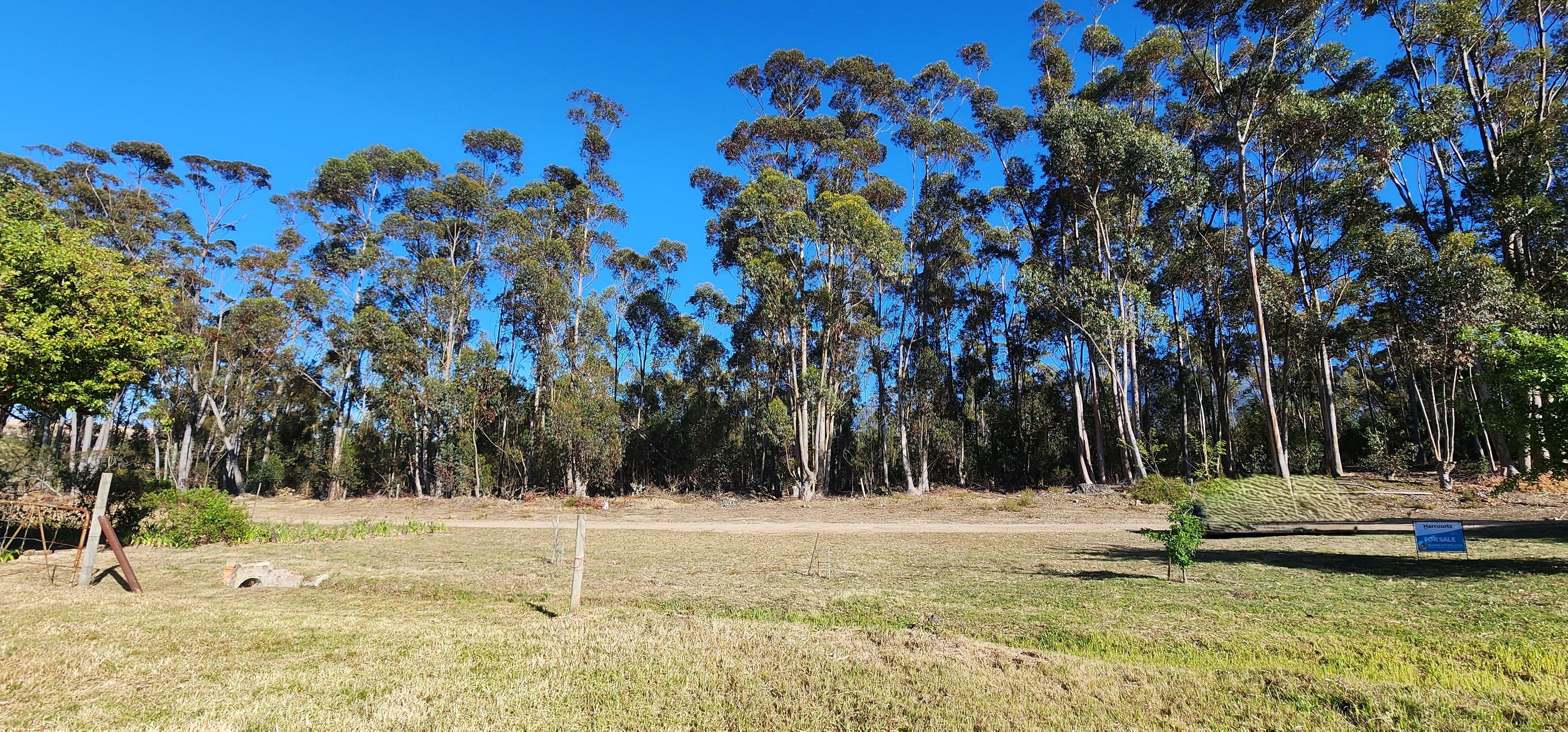 Image 18