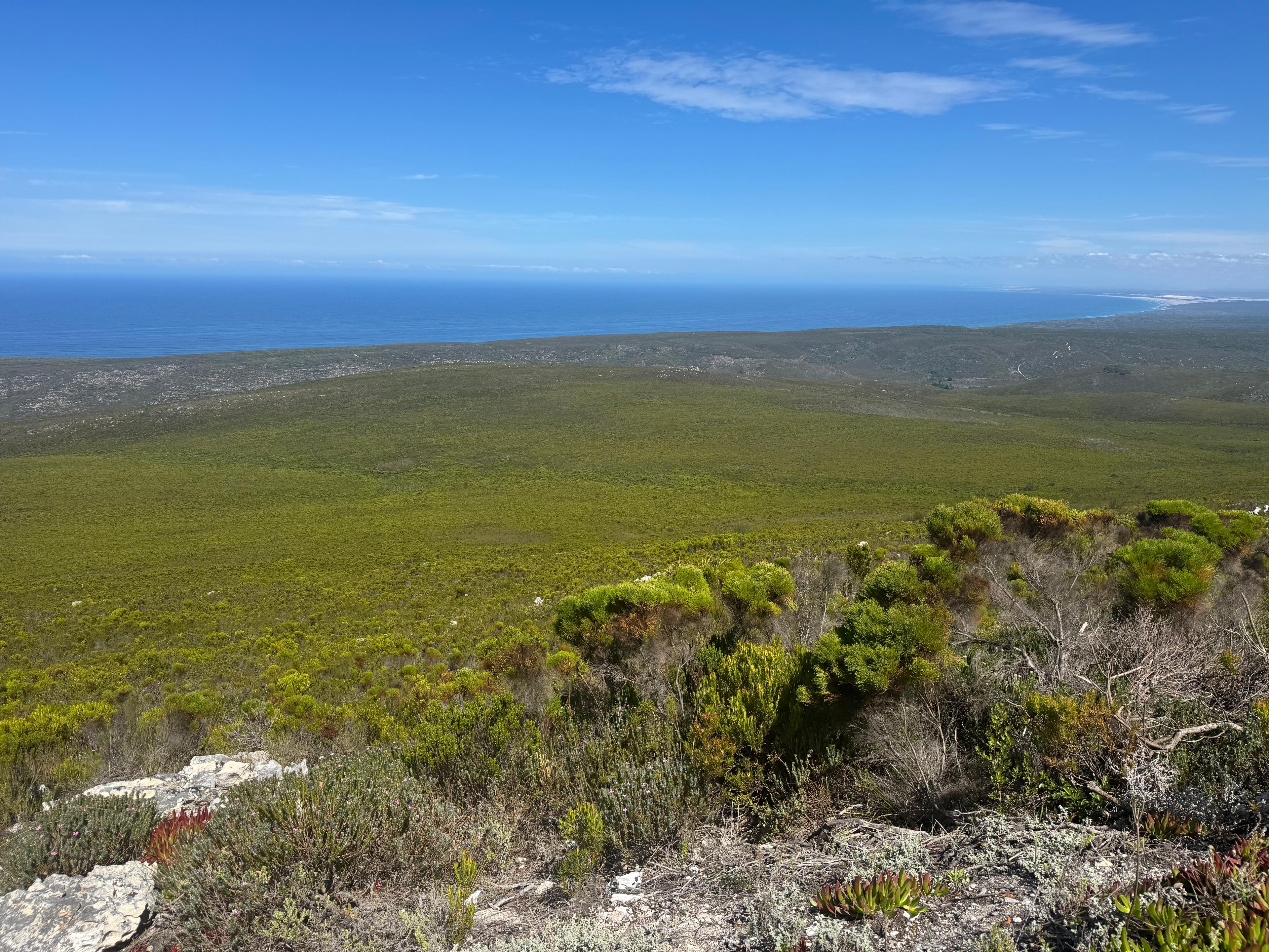Image 2 of 6