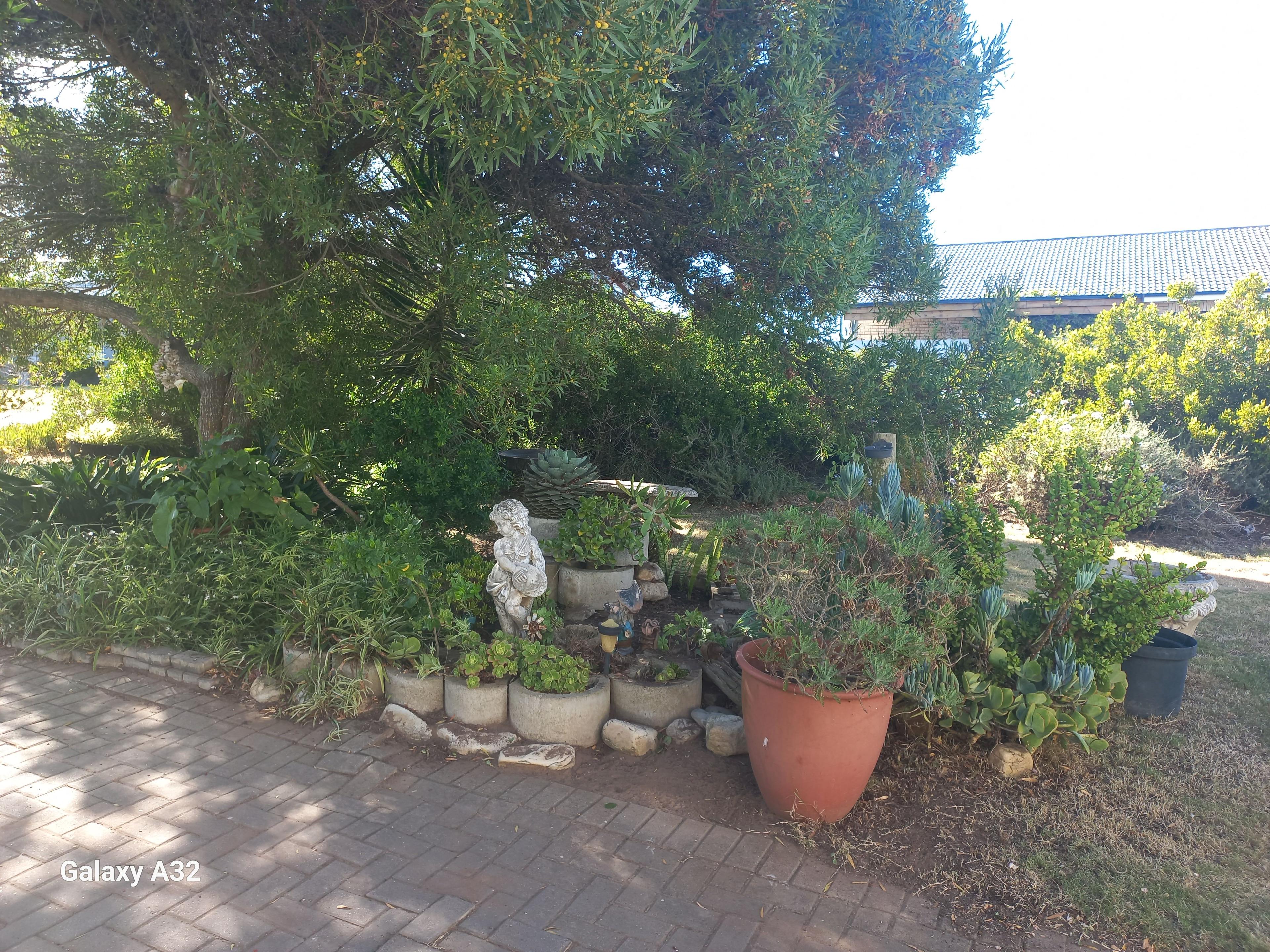 Image 27