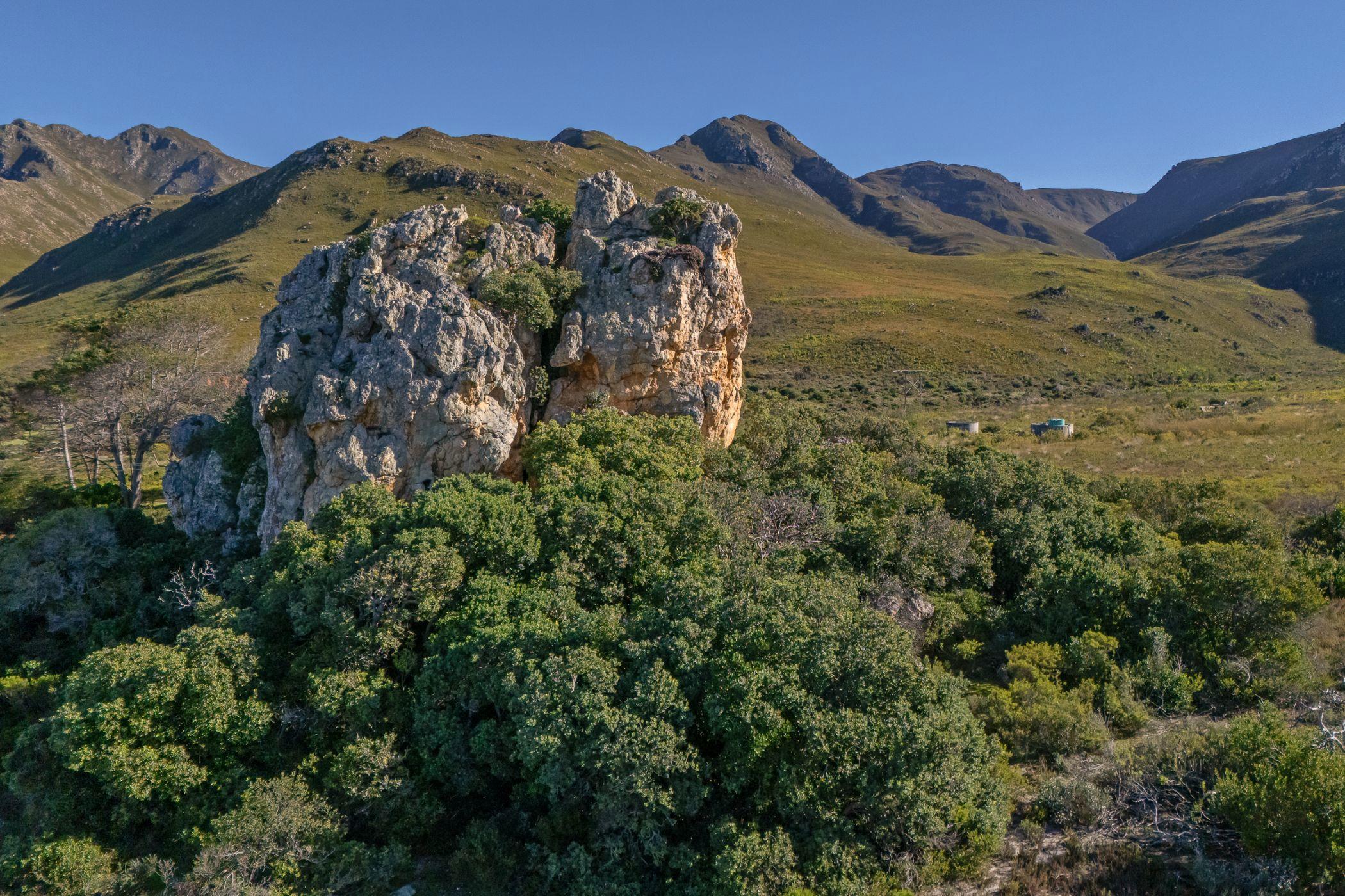 Image 5 of 6