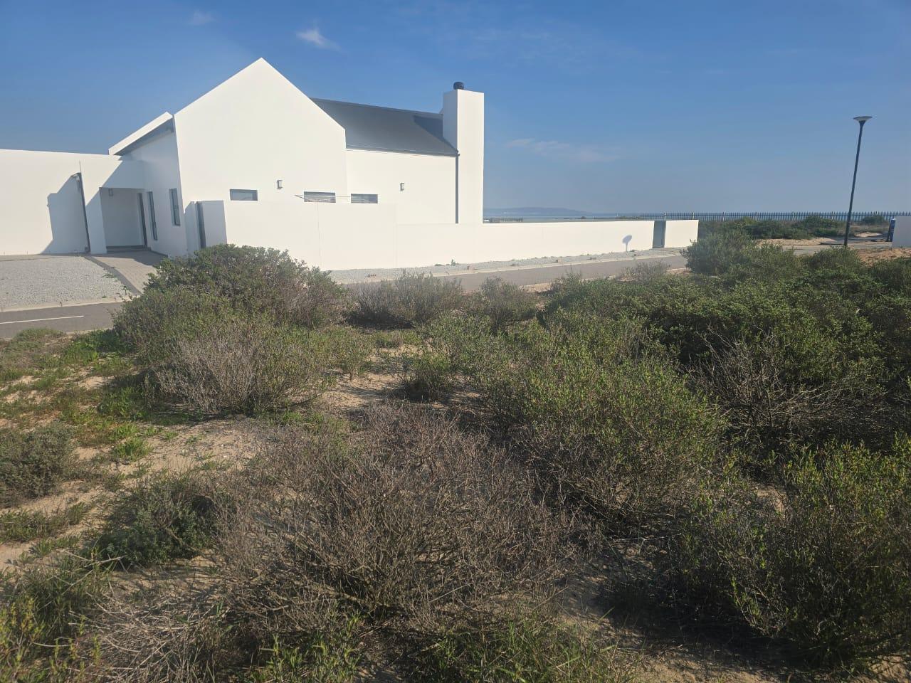 Image 12