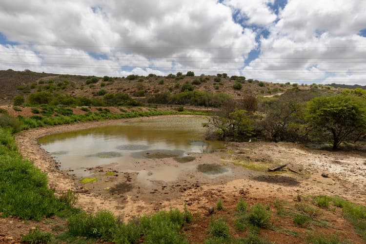 Main property image