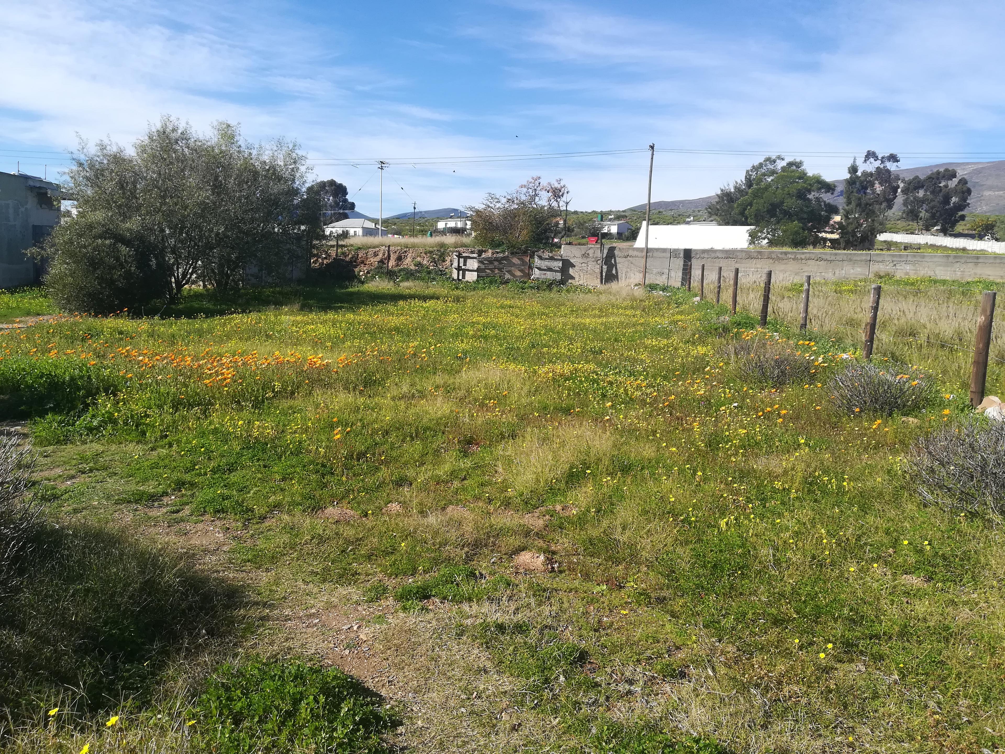 Image 14